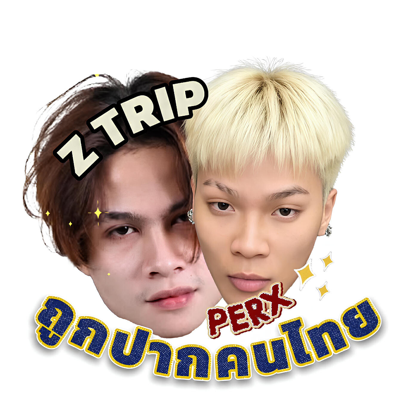 Z TRIP