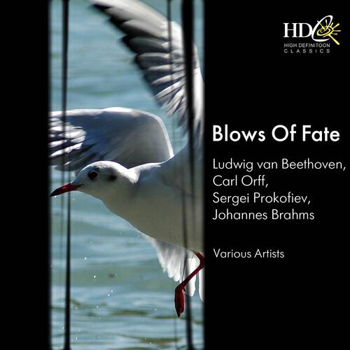 Релиз Blows of Fate