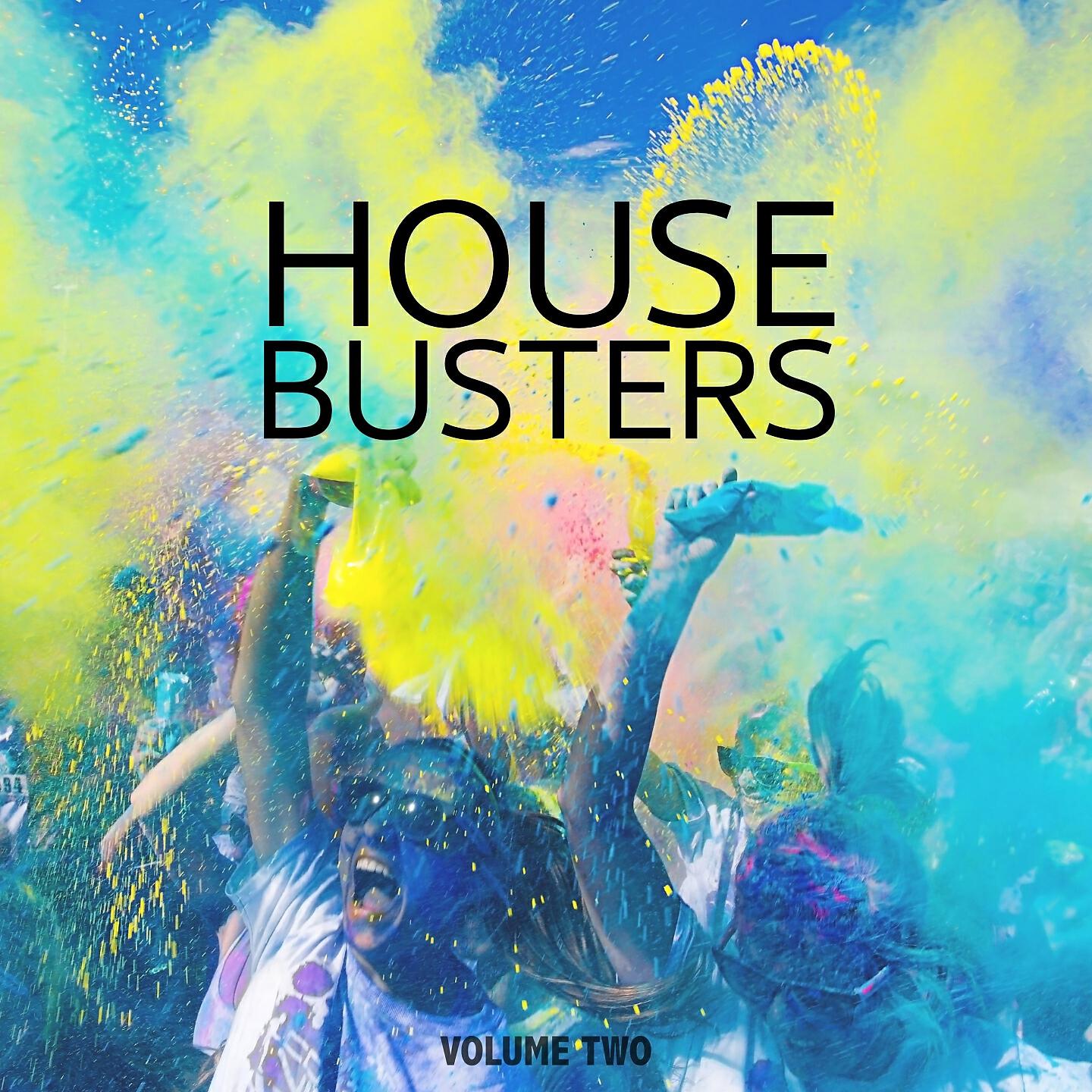 Релиз House Busters, Vol. 2