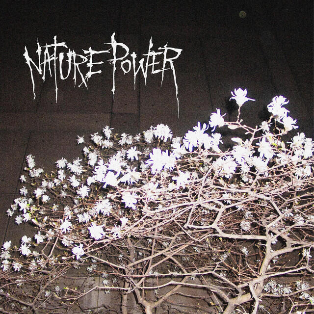 Релиз nature power