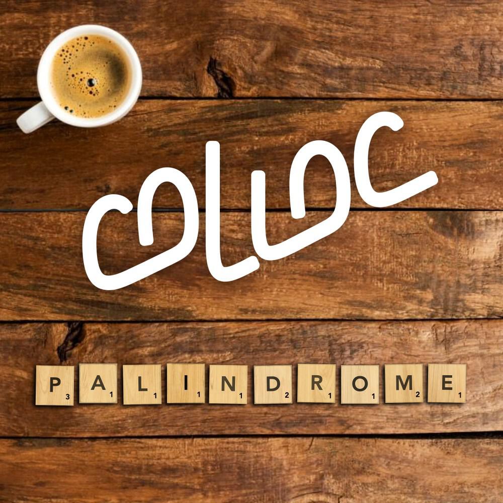 Релиз Palindrome