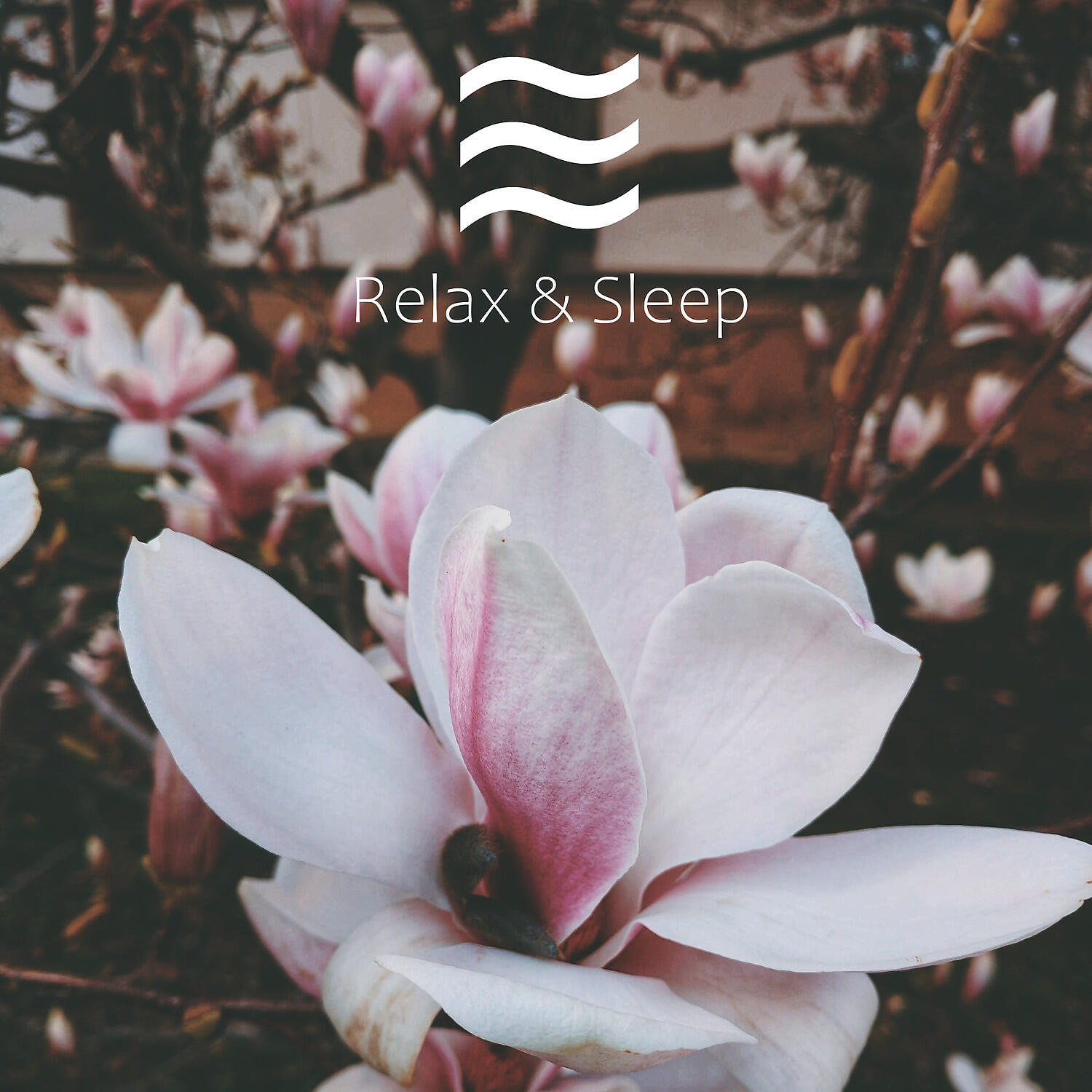 Релиз Sleep Soft Sough of Noisy Nature for Babies