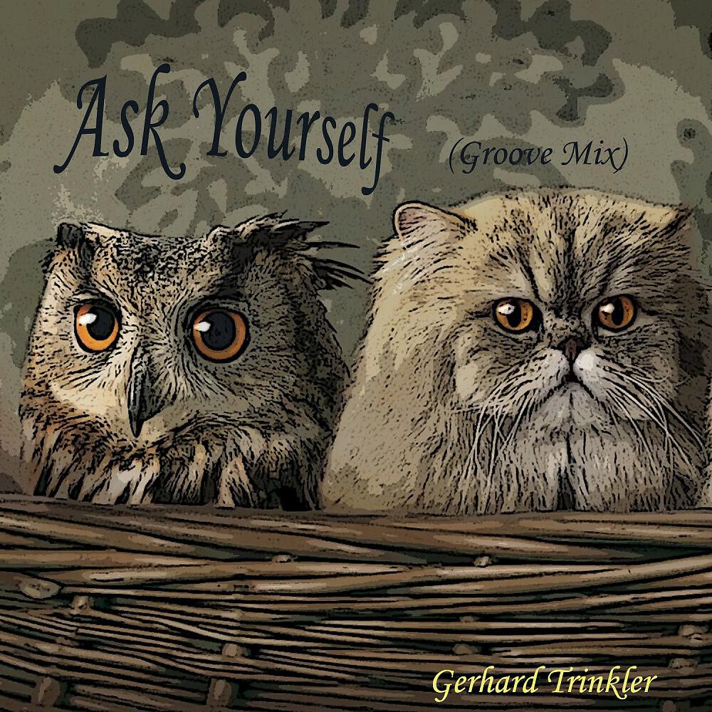 Релиз Ask Yourself (Groove Mix)