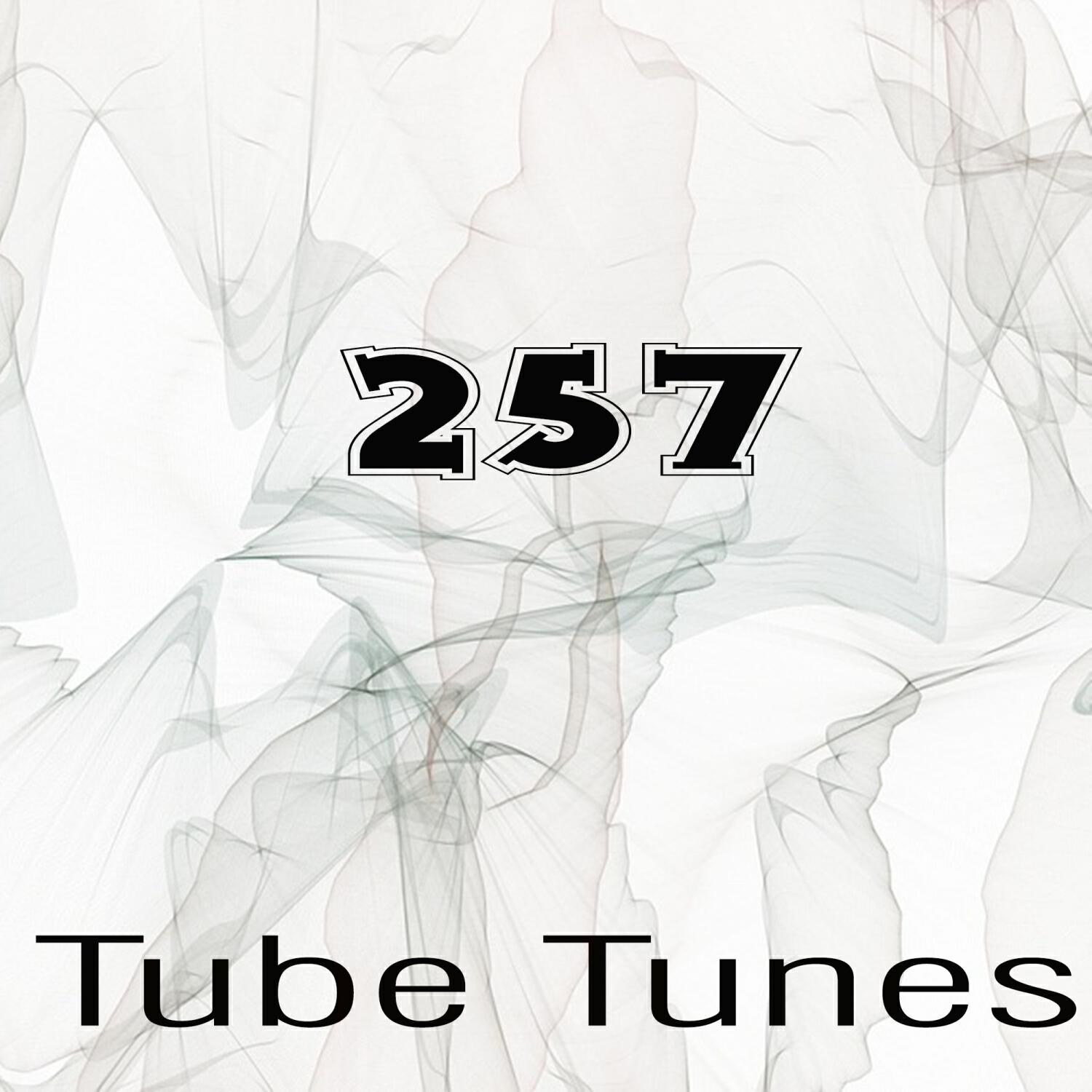 Релиз Tube Tunes, Vol.257