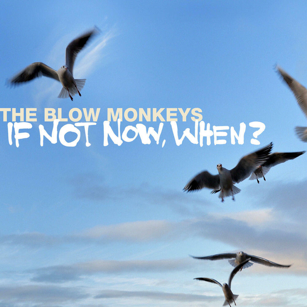 Релиз If Not Now When
