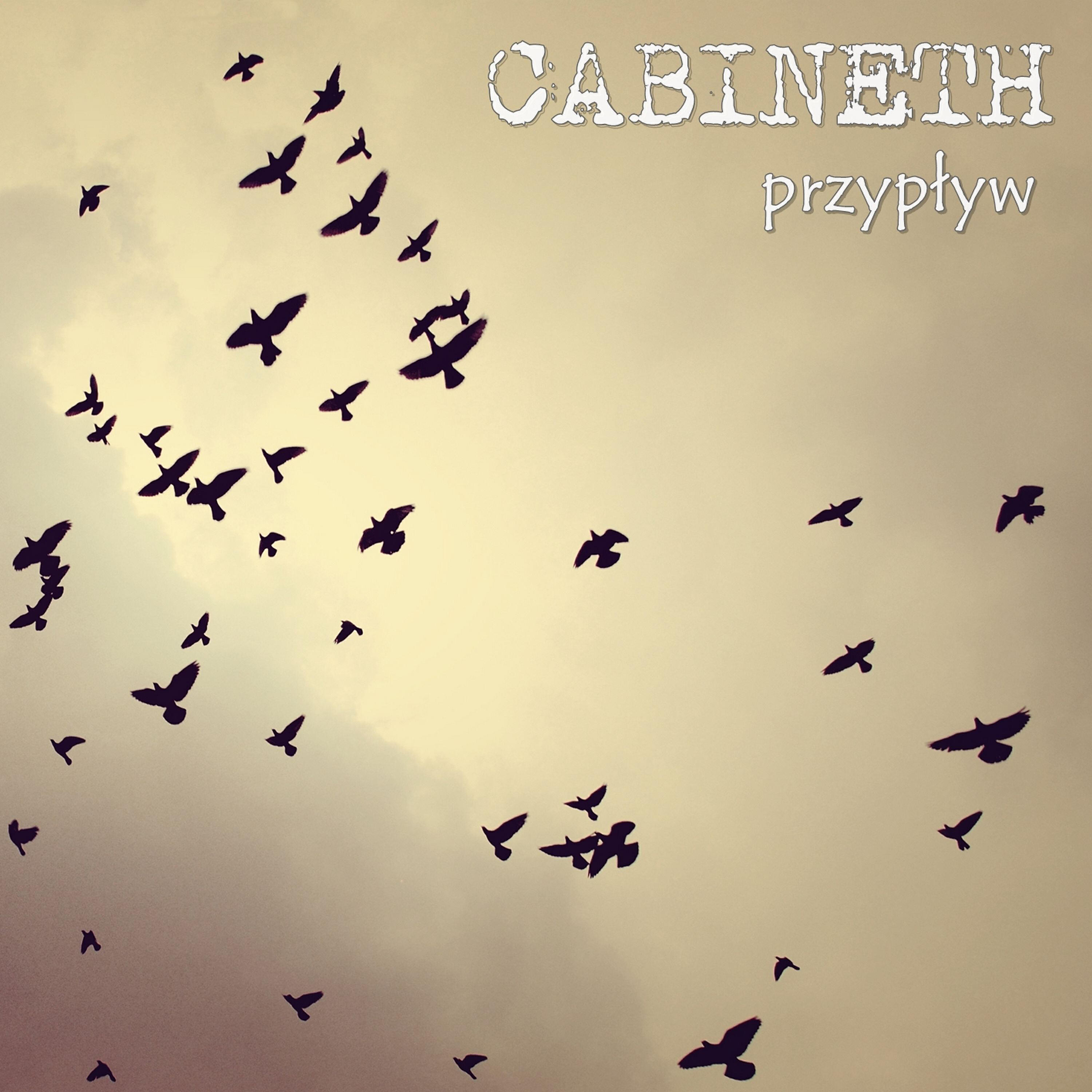 Релиз Przypływ
