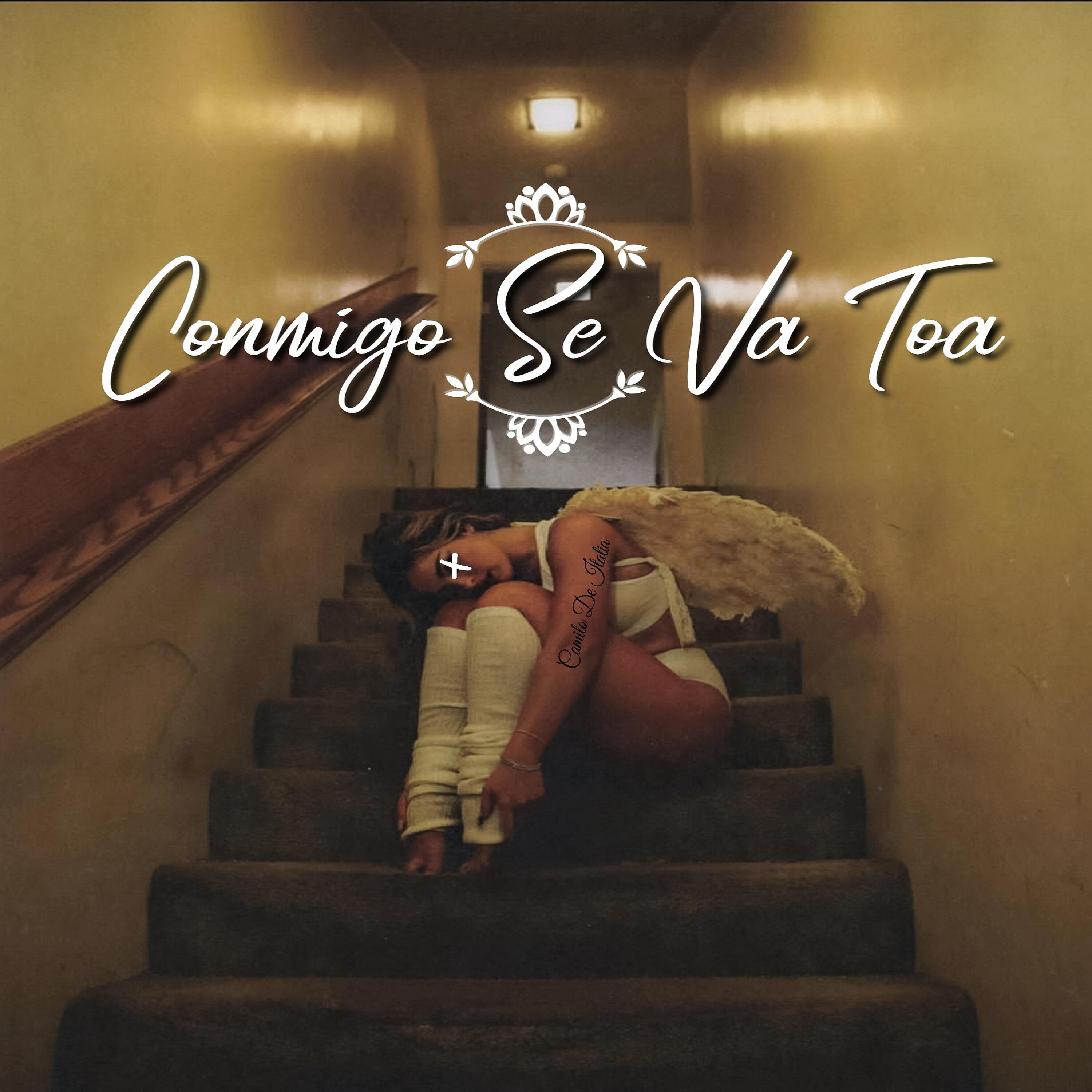 Релиз Conmigo Se Va Toa