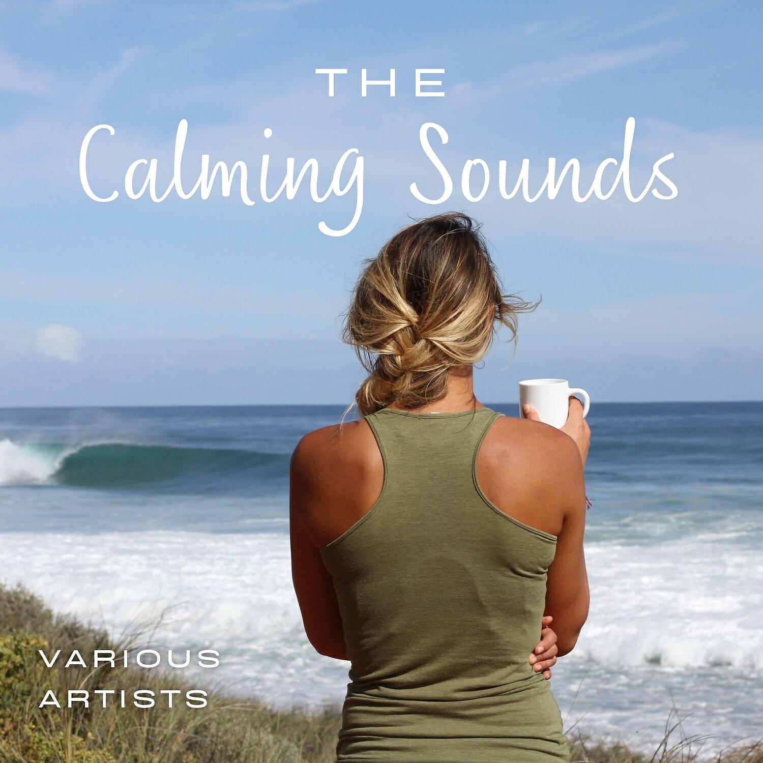 Постер альбома The Calming Sounds