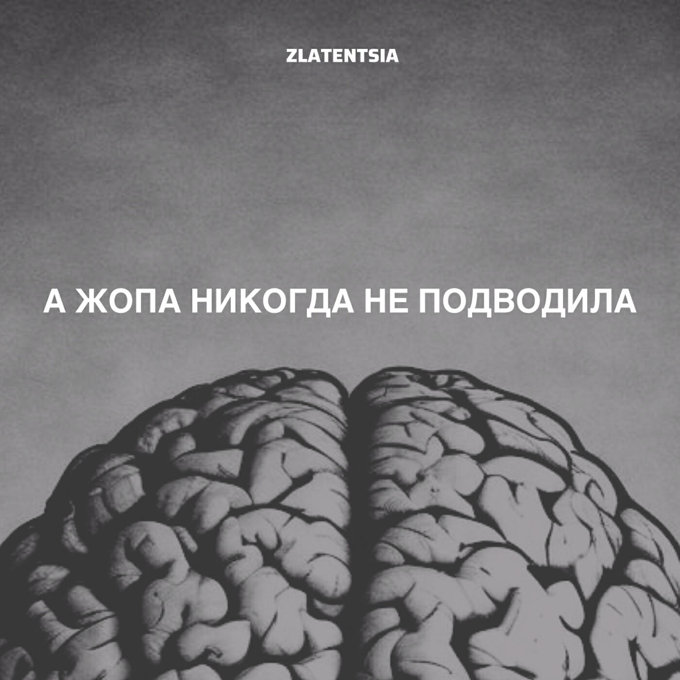 Релиз А жопа никогда не подводила