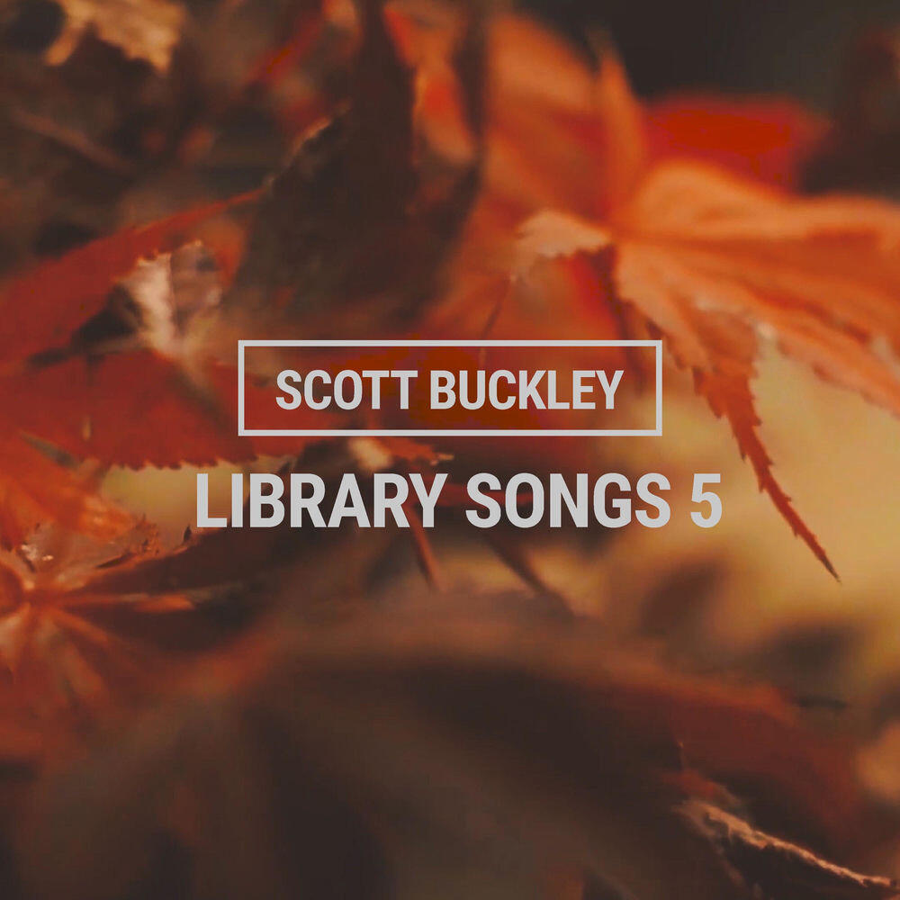 Релиз Library Songs 5