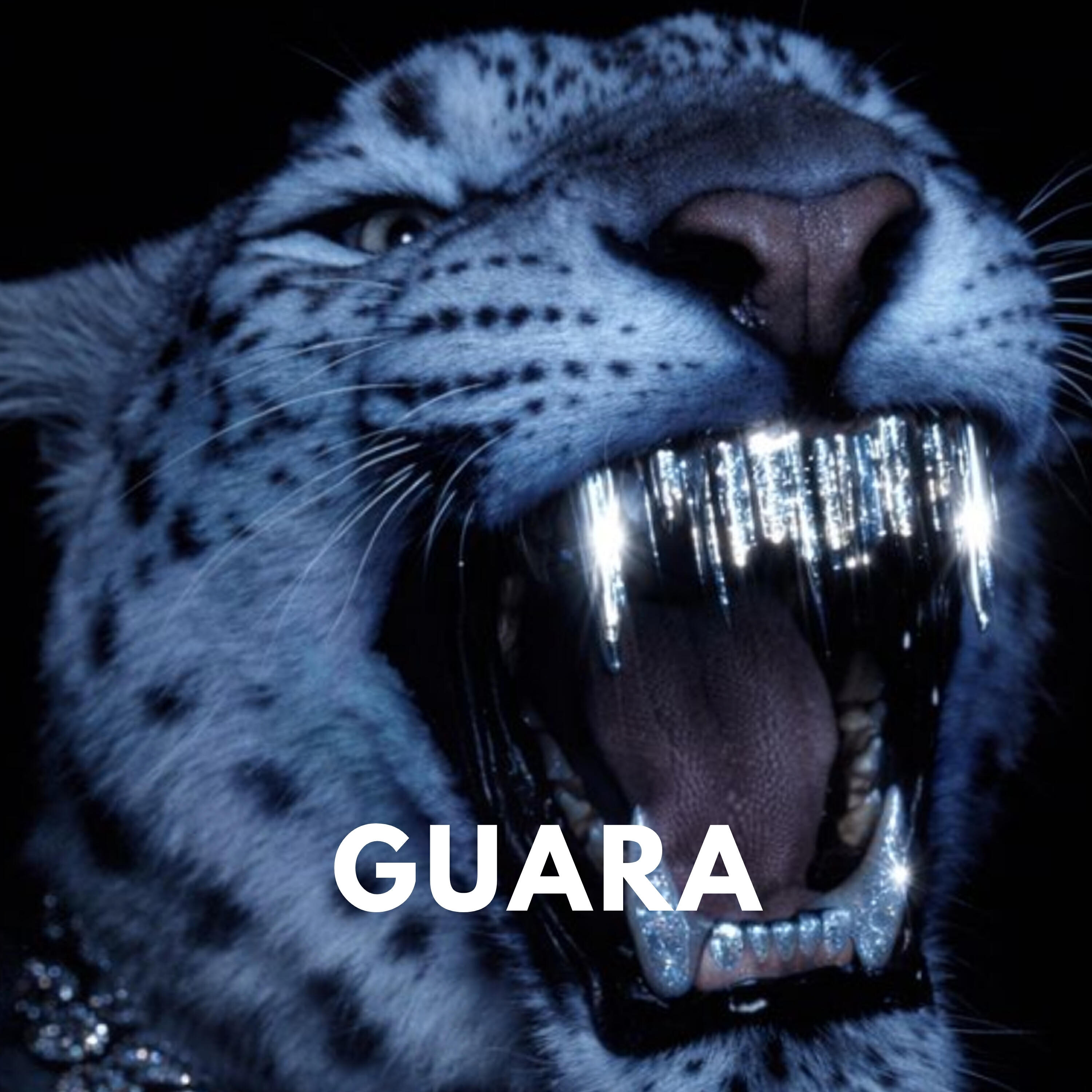 Релиз Guara