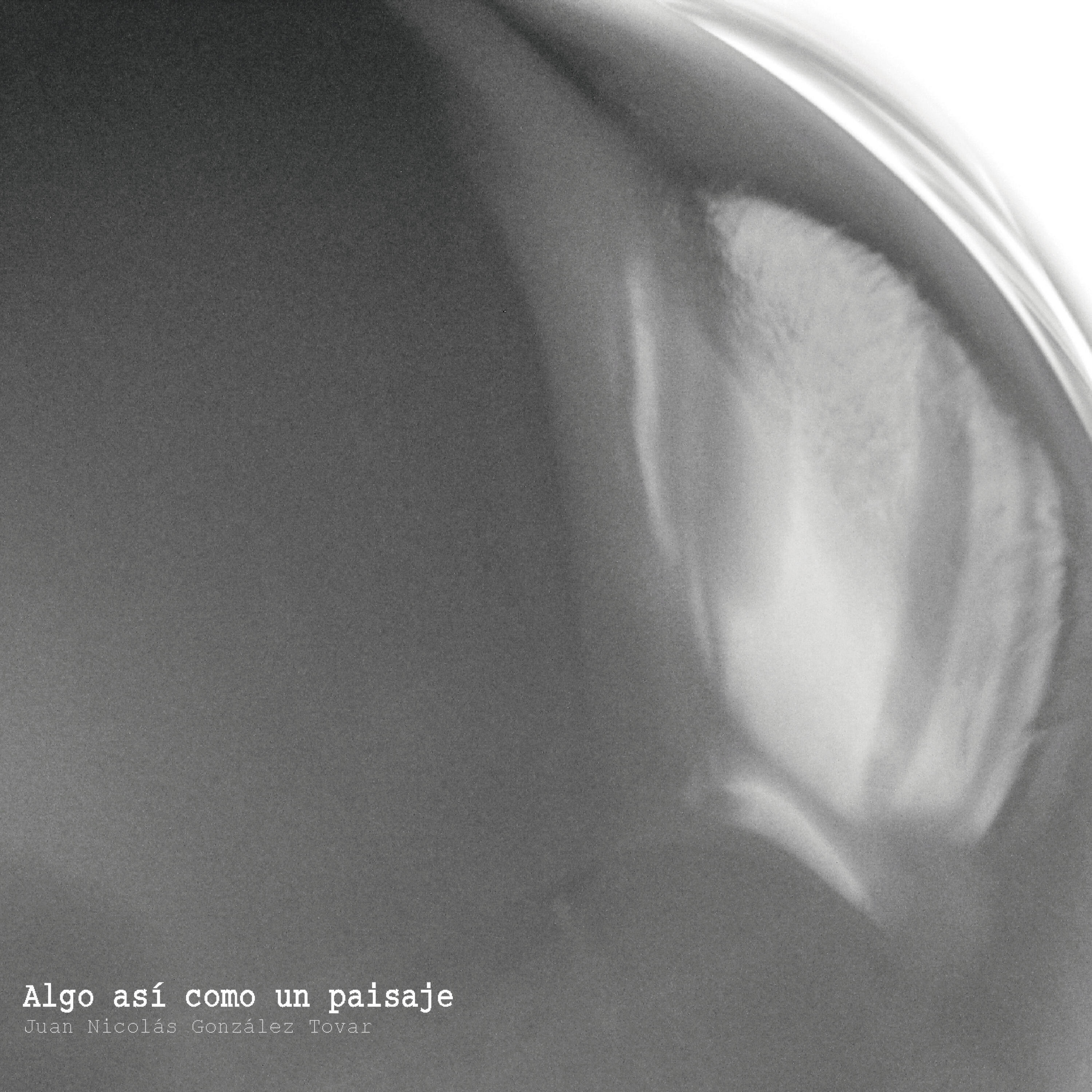 Juan Nicolás Gonzalez Tovar