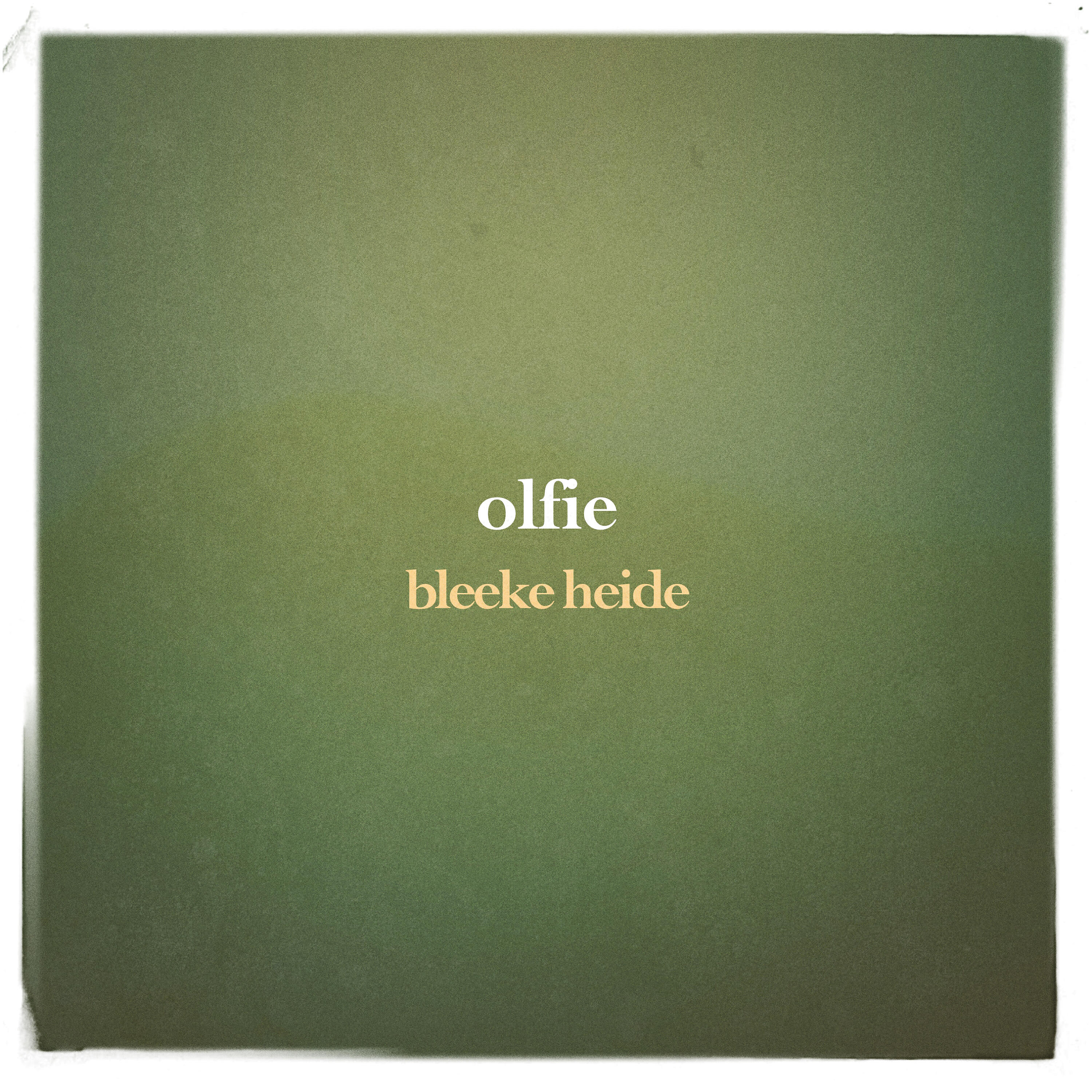 Релиз Bleeke Heide