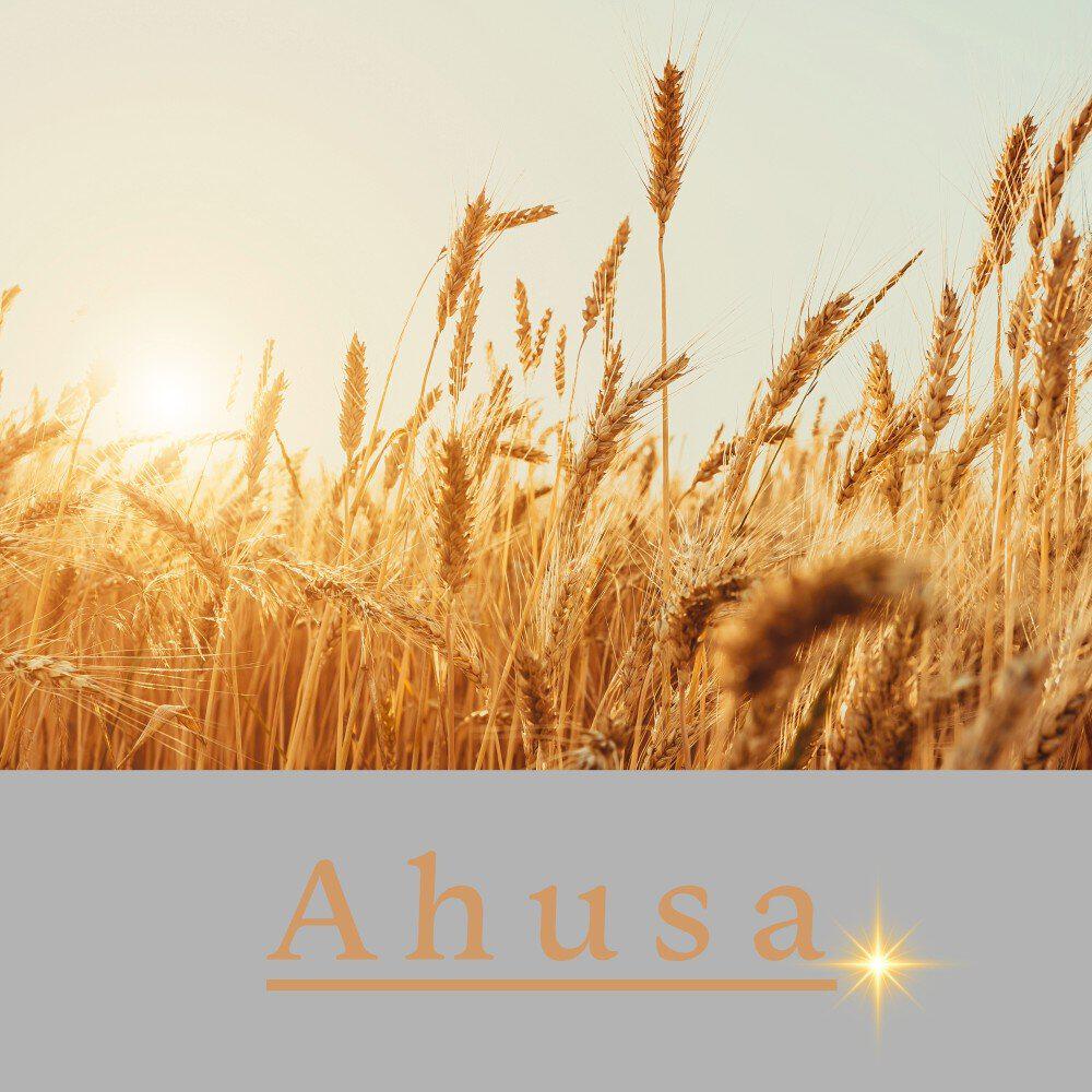 Релиз Ahsua