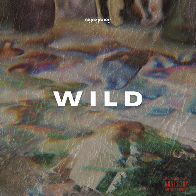 Релиз Wild