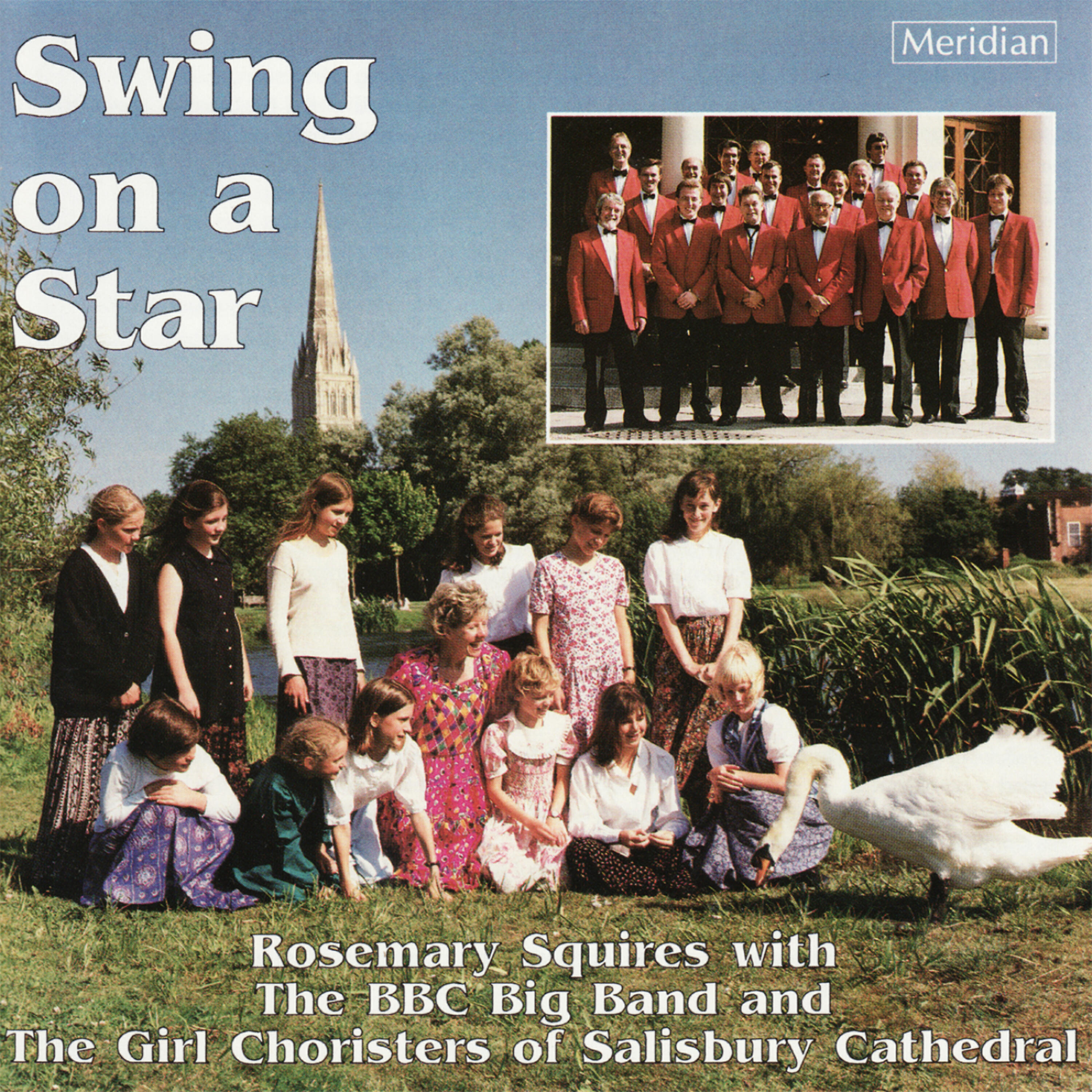 Постер альбома Swing on a Star