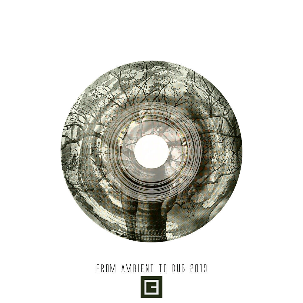 Постер альбома From Ambient to Dub 2019
