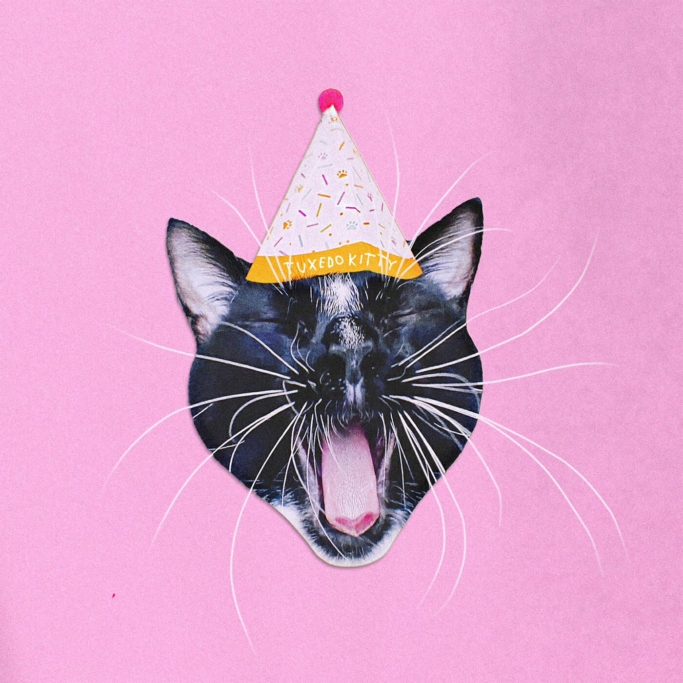 Релиз Tuxedo Kitty