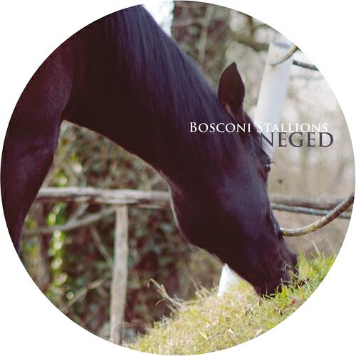 Релиз Bosconi Stallions - Neged