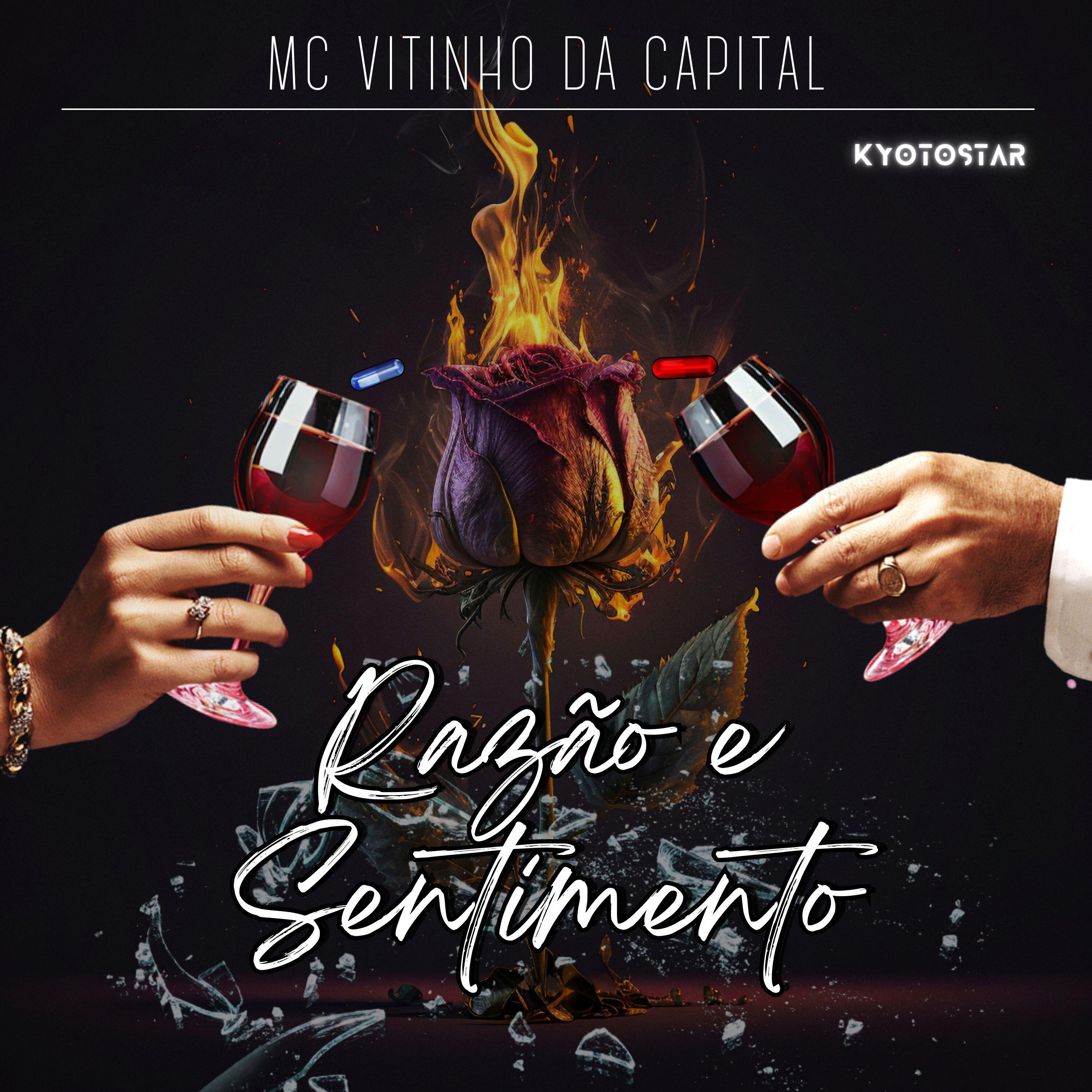 Релиз Razão e Sentimento