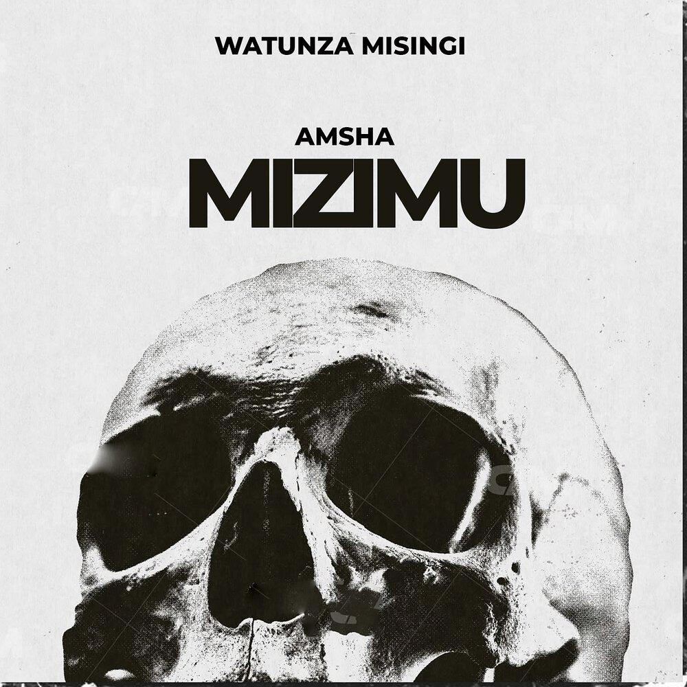 Релиз Amsha Mizimu