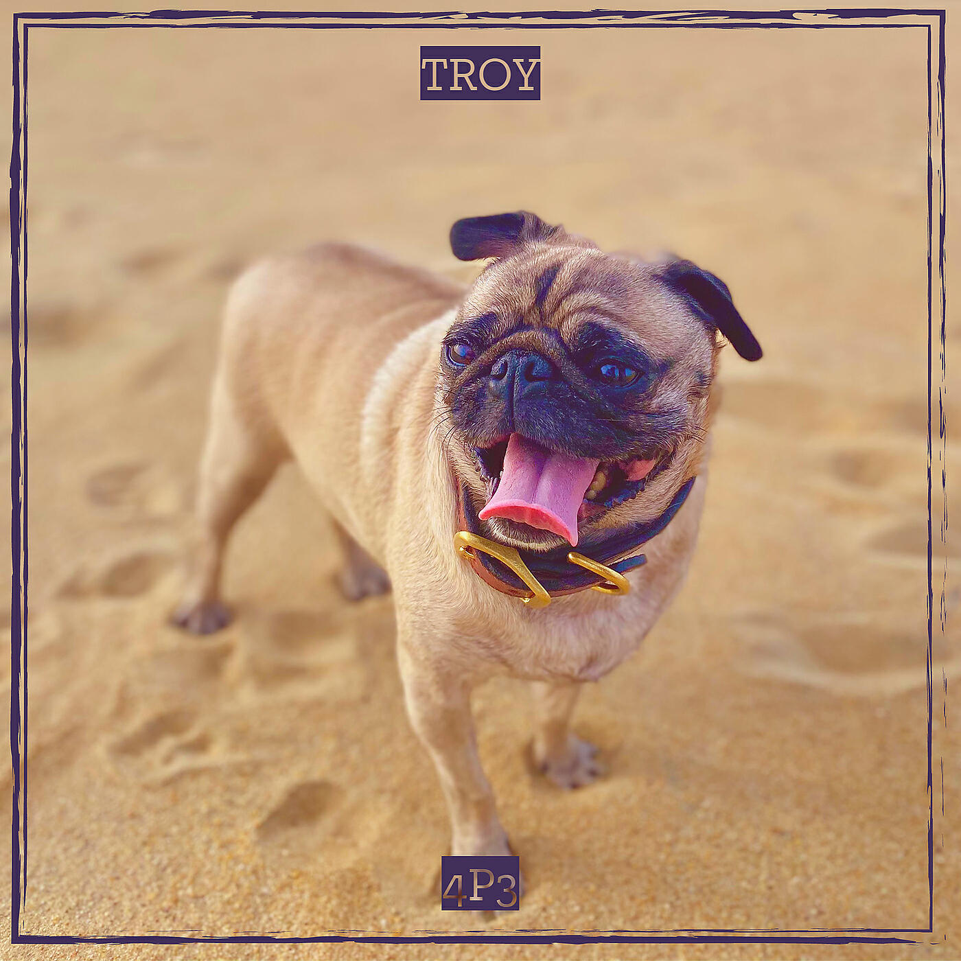 Релиз Troy