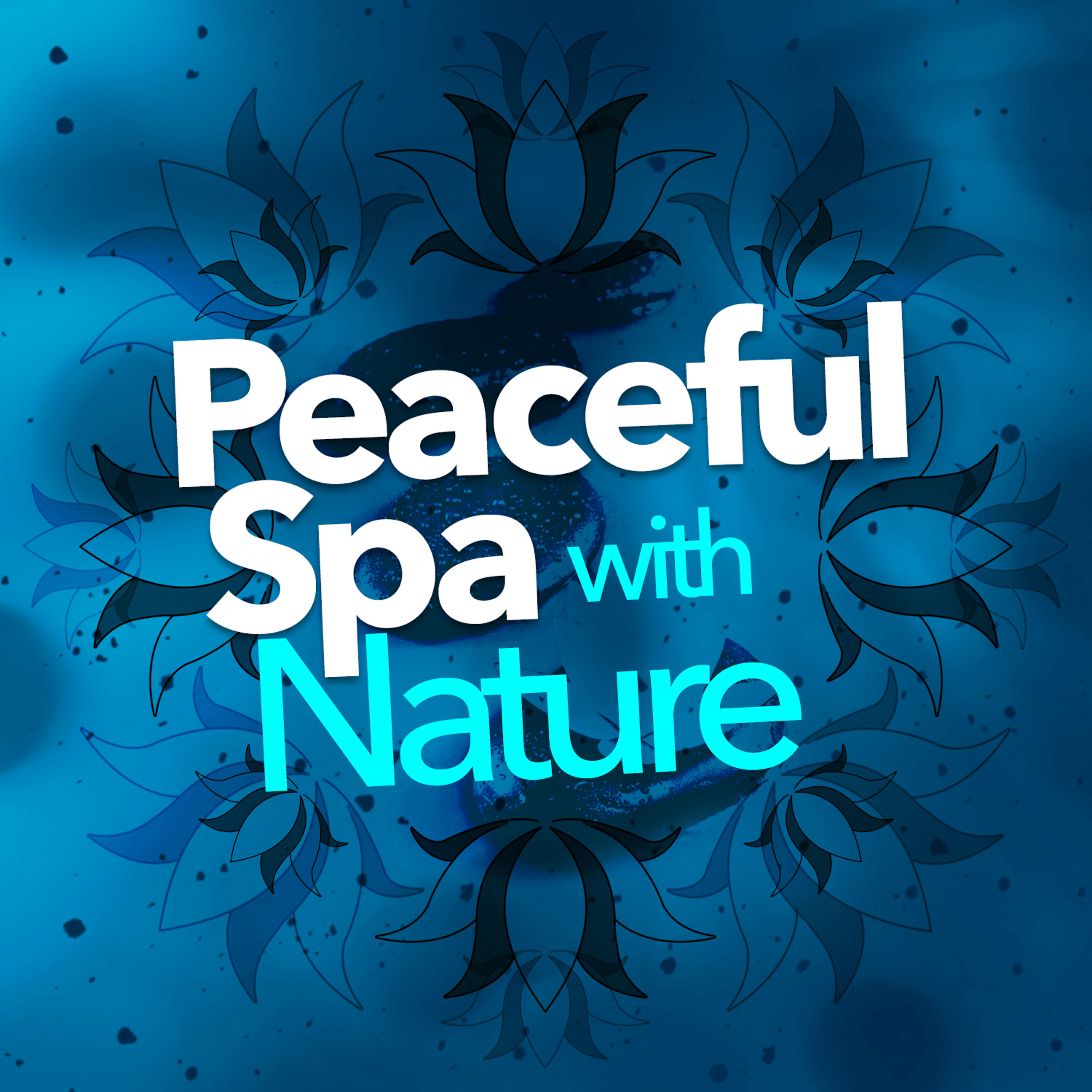 Релиз Peaceful Spa with Nature