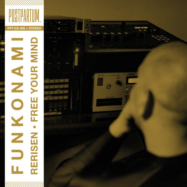 Релиз Rerisen / Free Your Mind