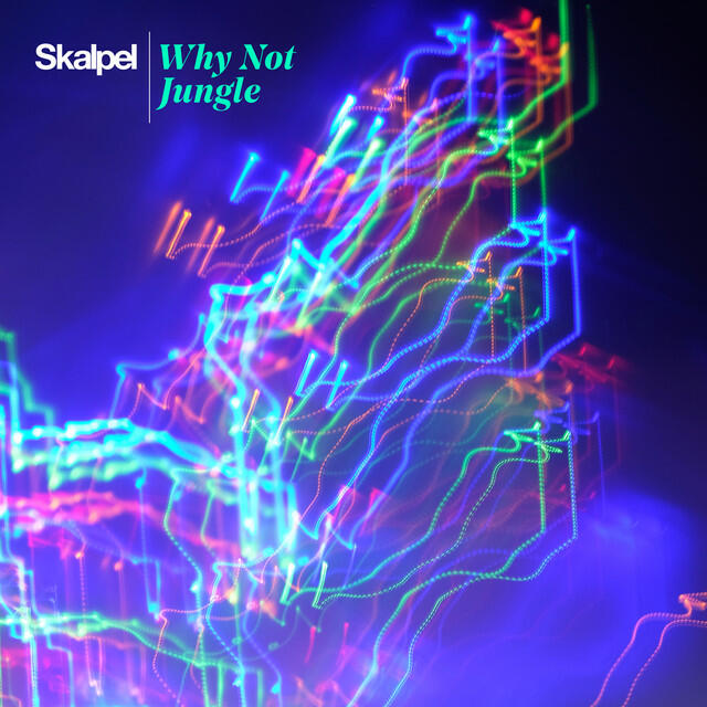 Релиз Why Not Jungle
