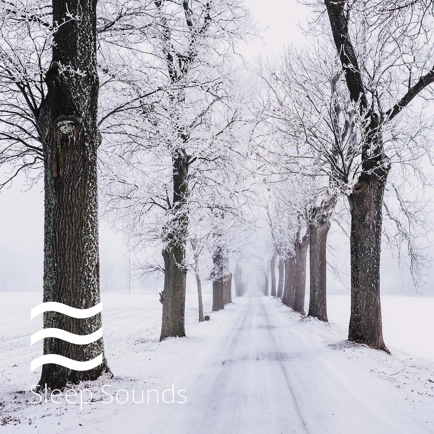 Релиз Womb Sounds Cradle Winter Collection