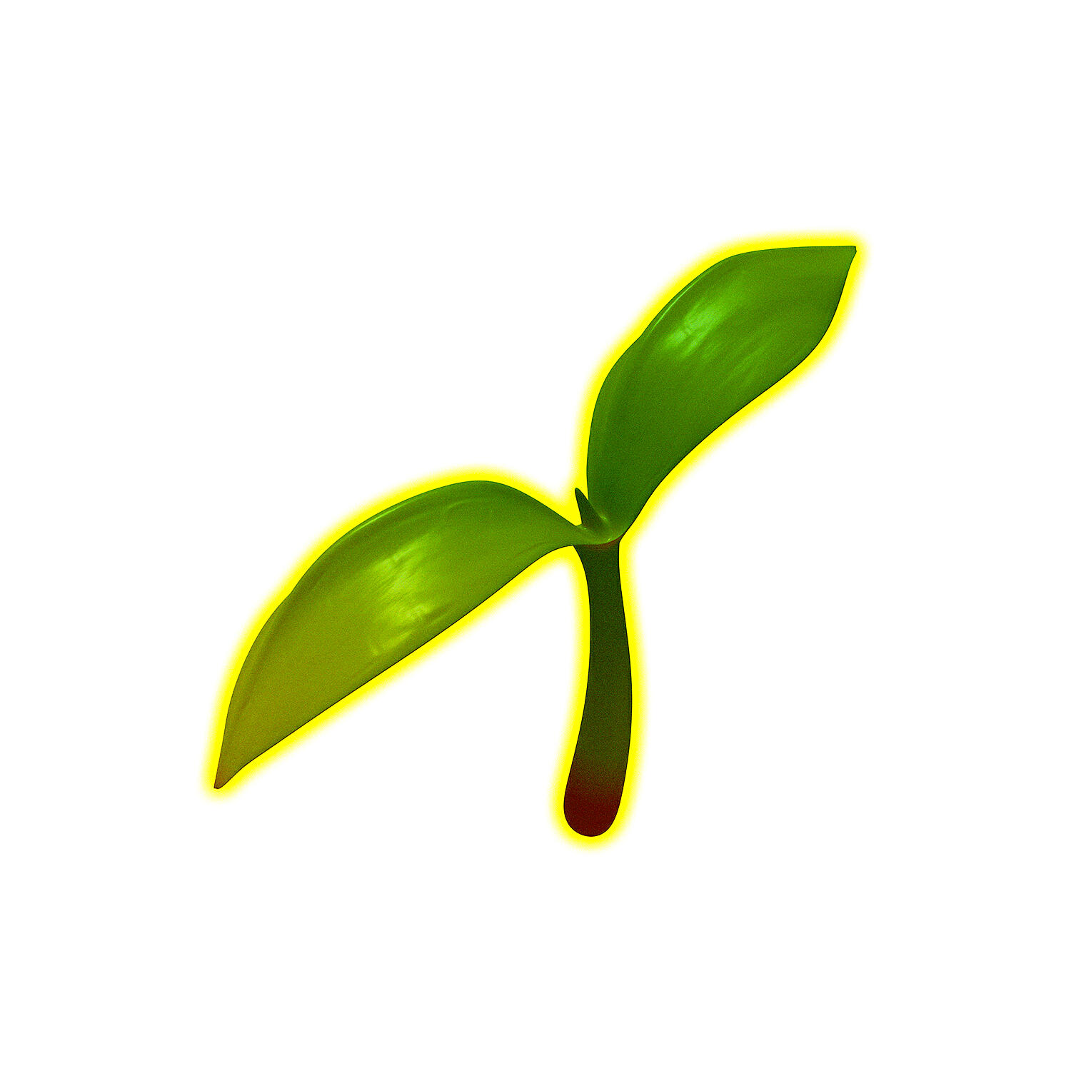 Релиз Droseliane