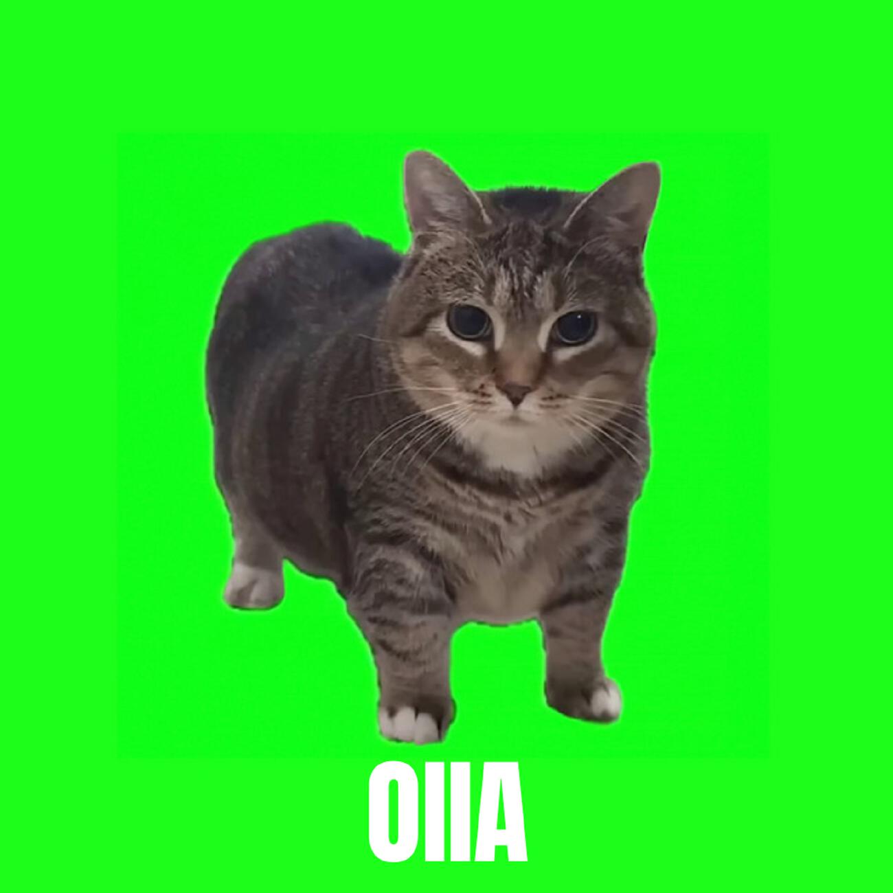 Релиз OIIA OIIA