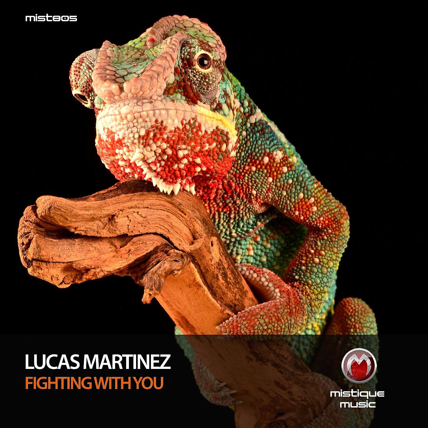 Релиз Fighting with You