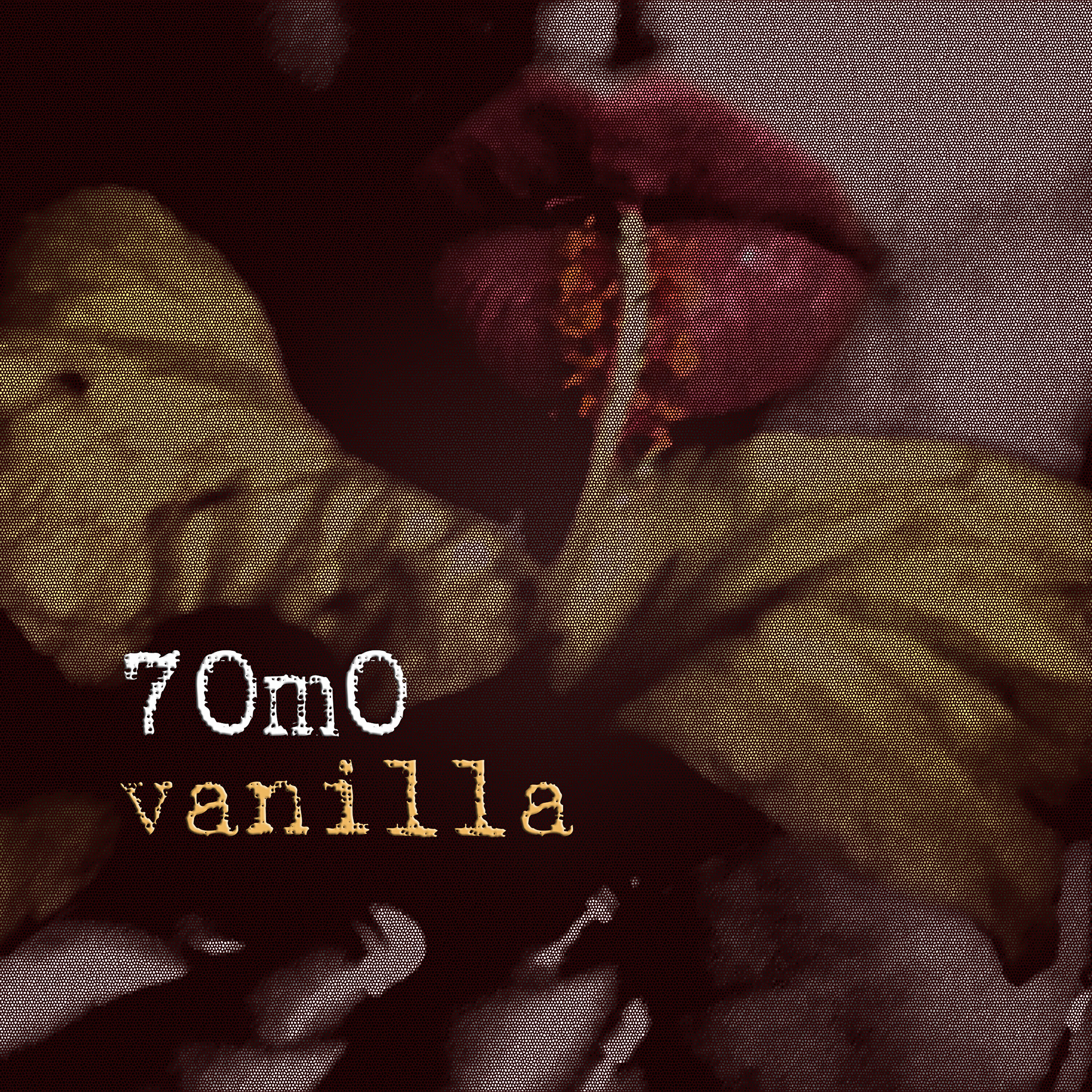 Постер альбома Vanilla