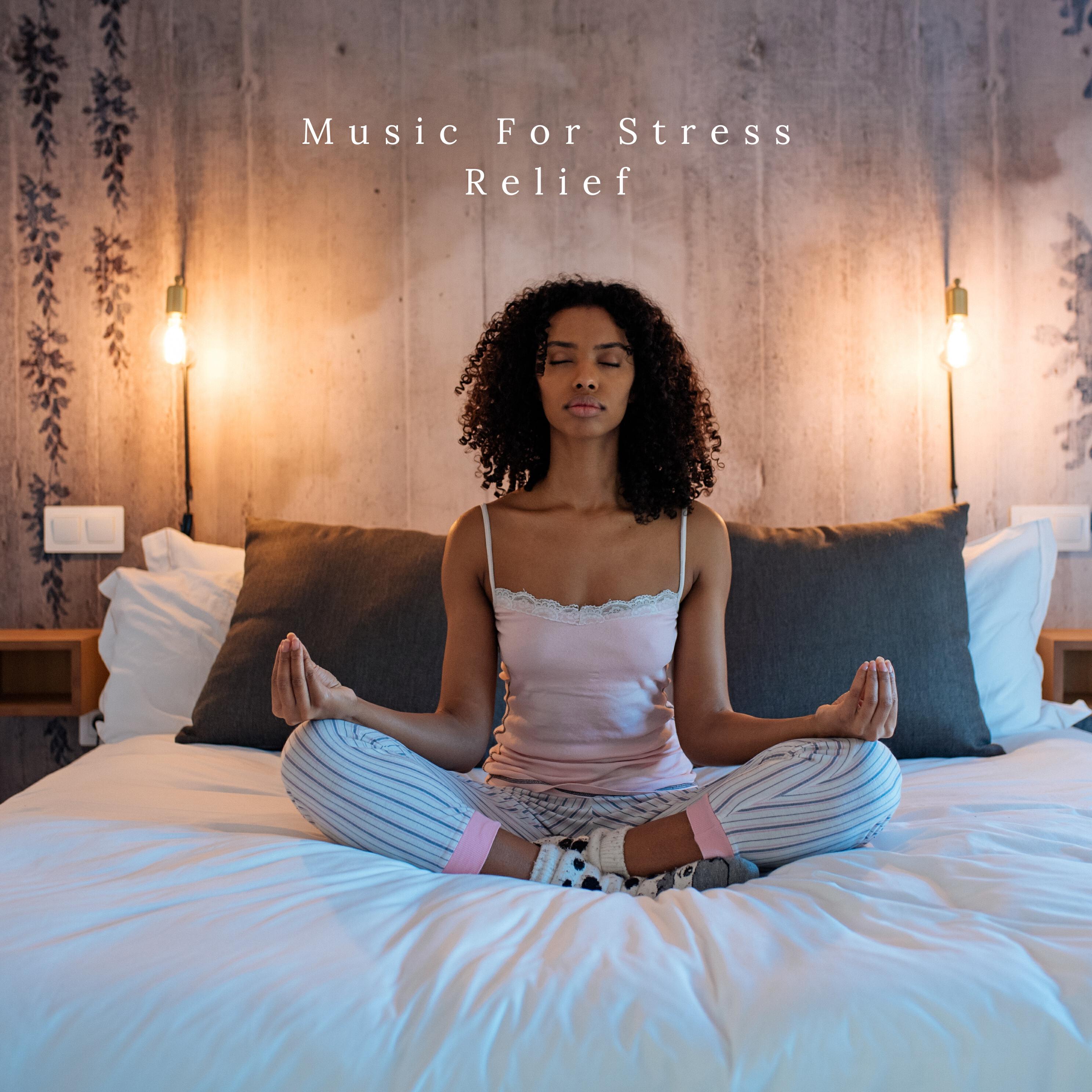 Релиз Music For Stress Relief