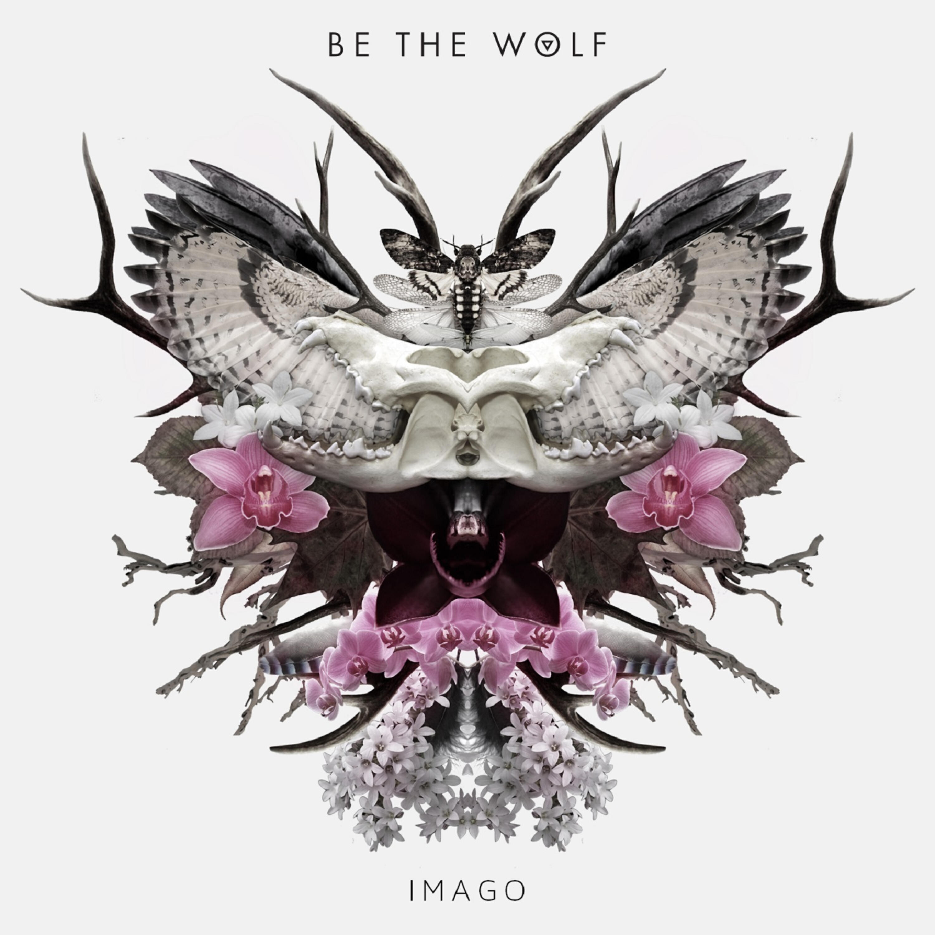 Релиз Imago