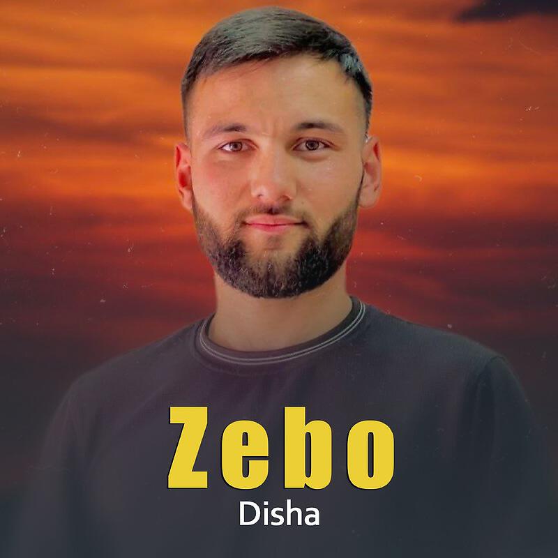 Релиз Zebo