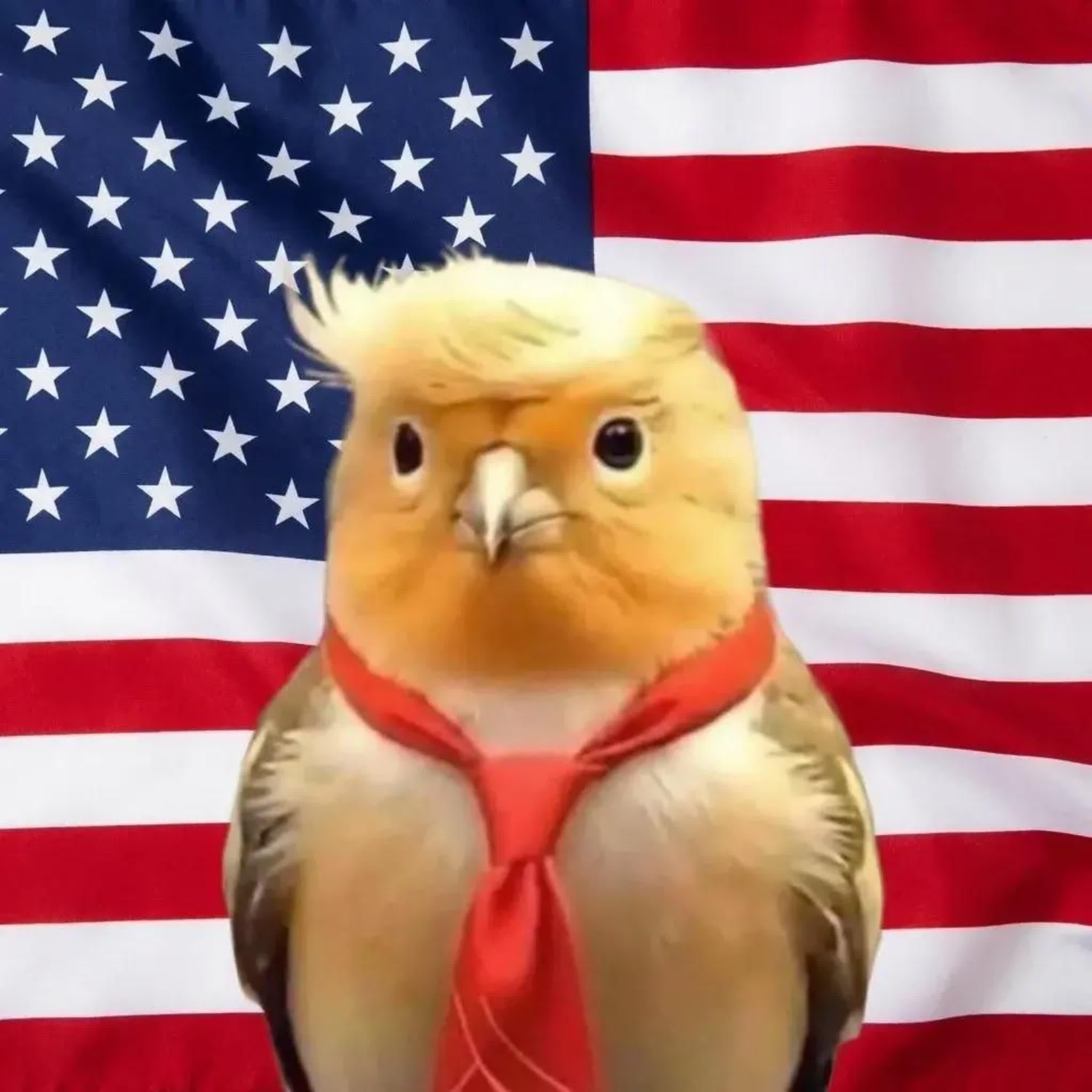 Релиз Трамп