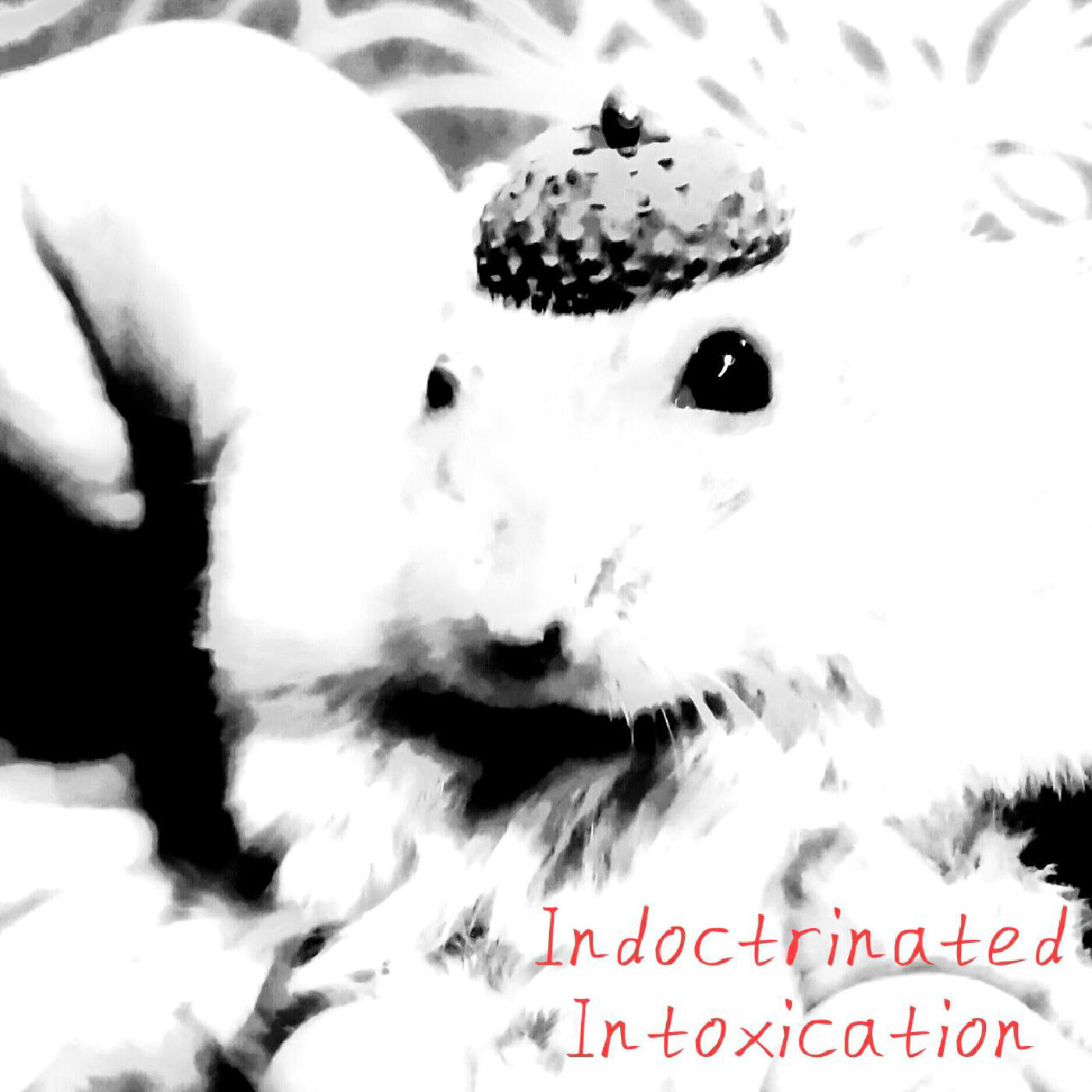 Релиз Indoctrinated Intoxication