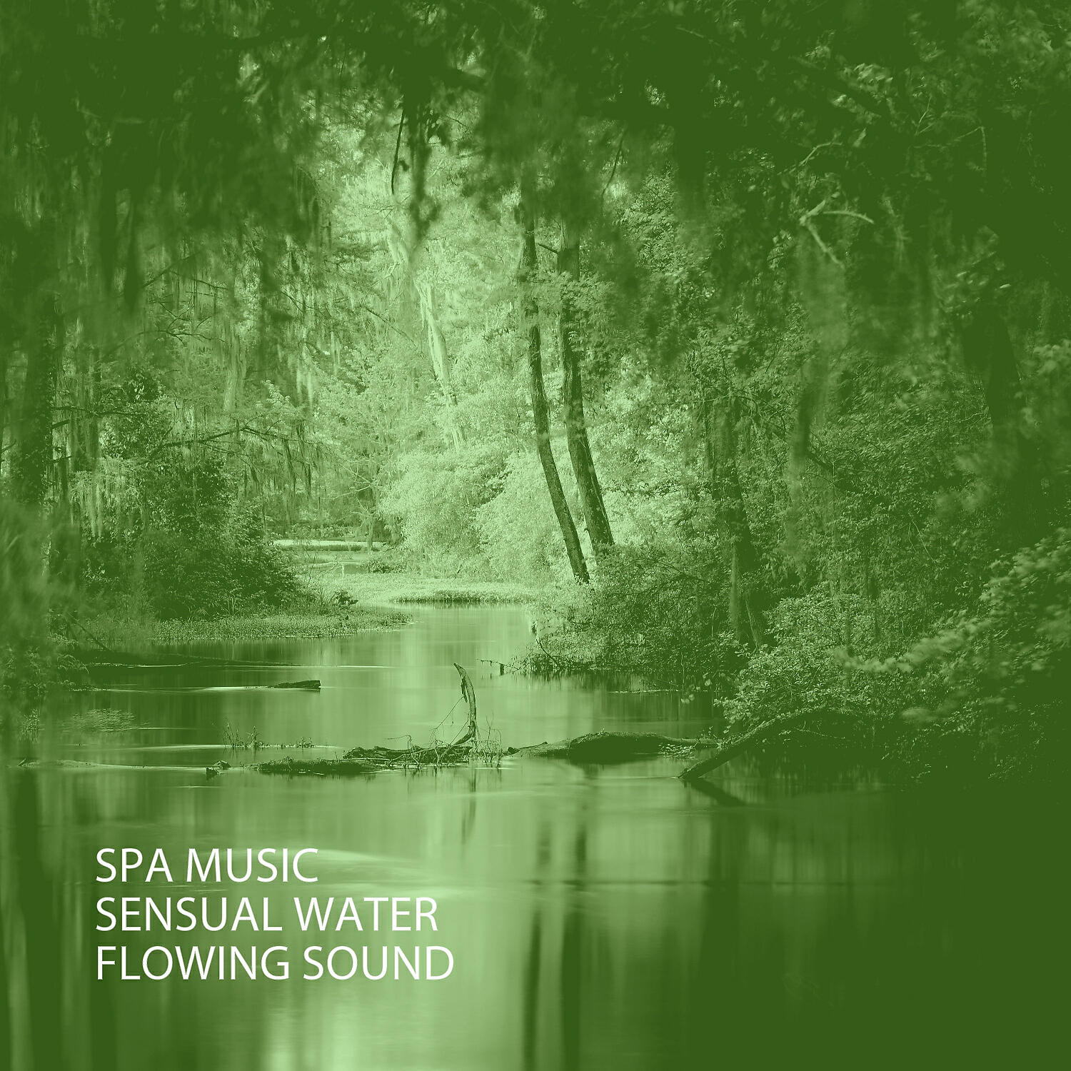 Релиз Spa Music: Sensual Water Flowing Sound