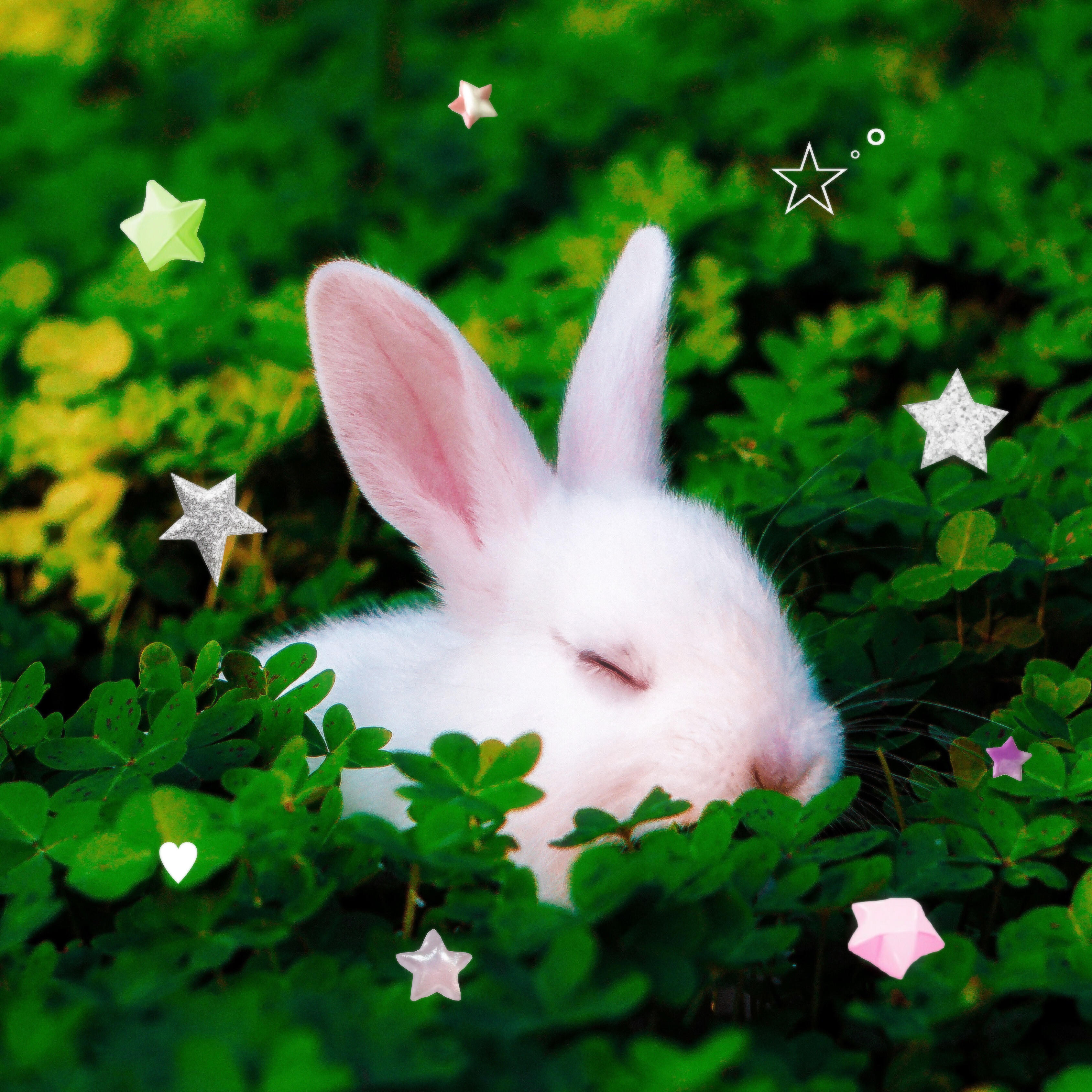 Релиз I don't care