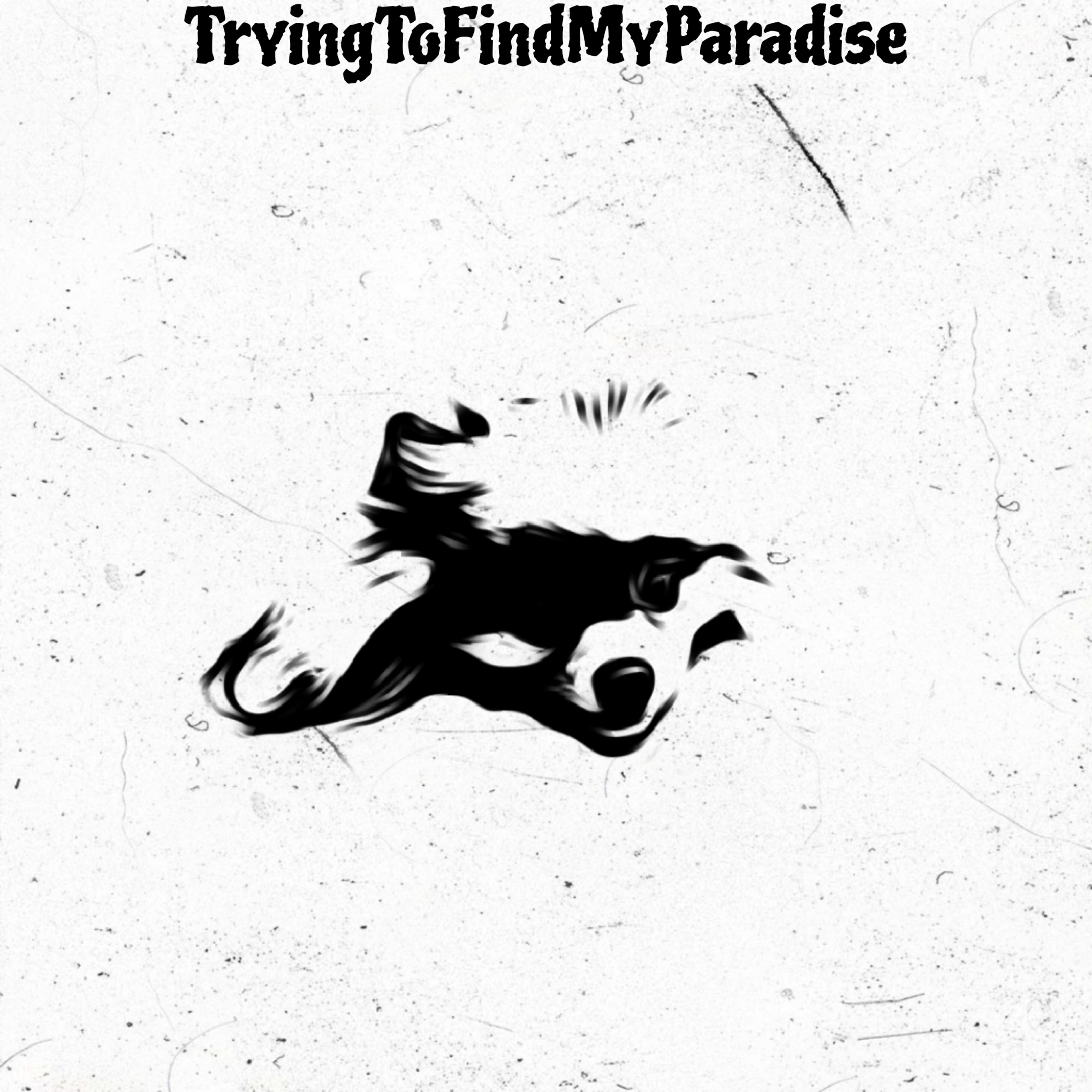 Релиз TryingToFindMyParadise