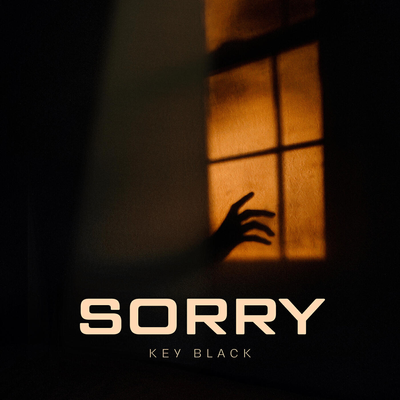 Релиз Sorry