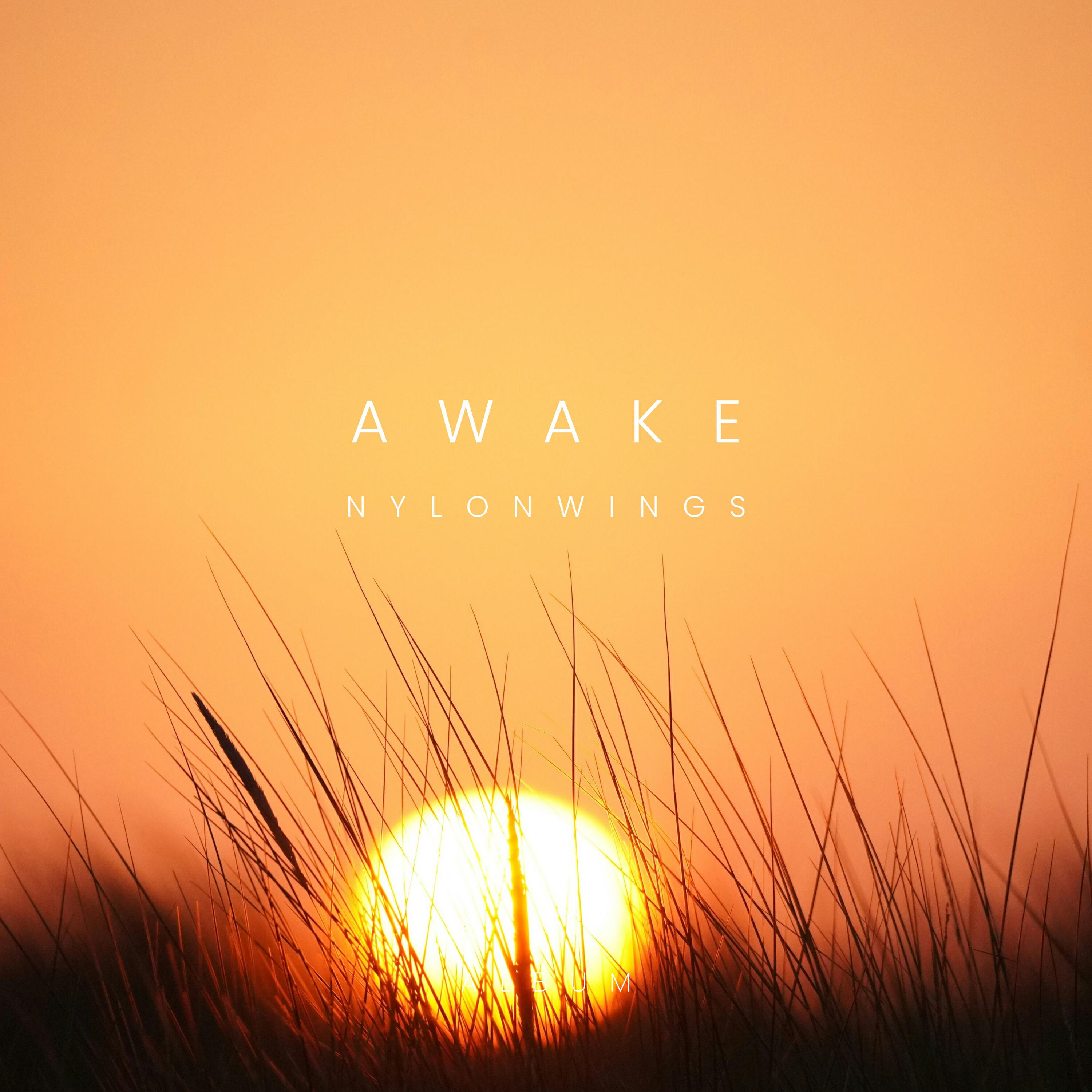 Релиз Awake