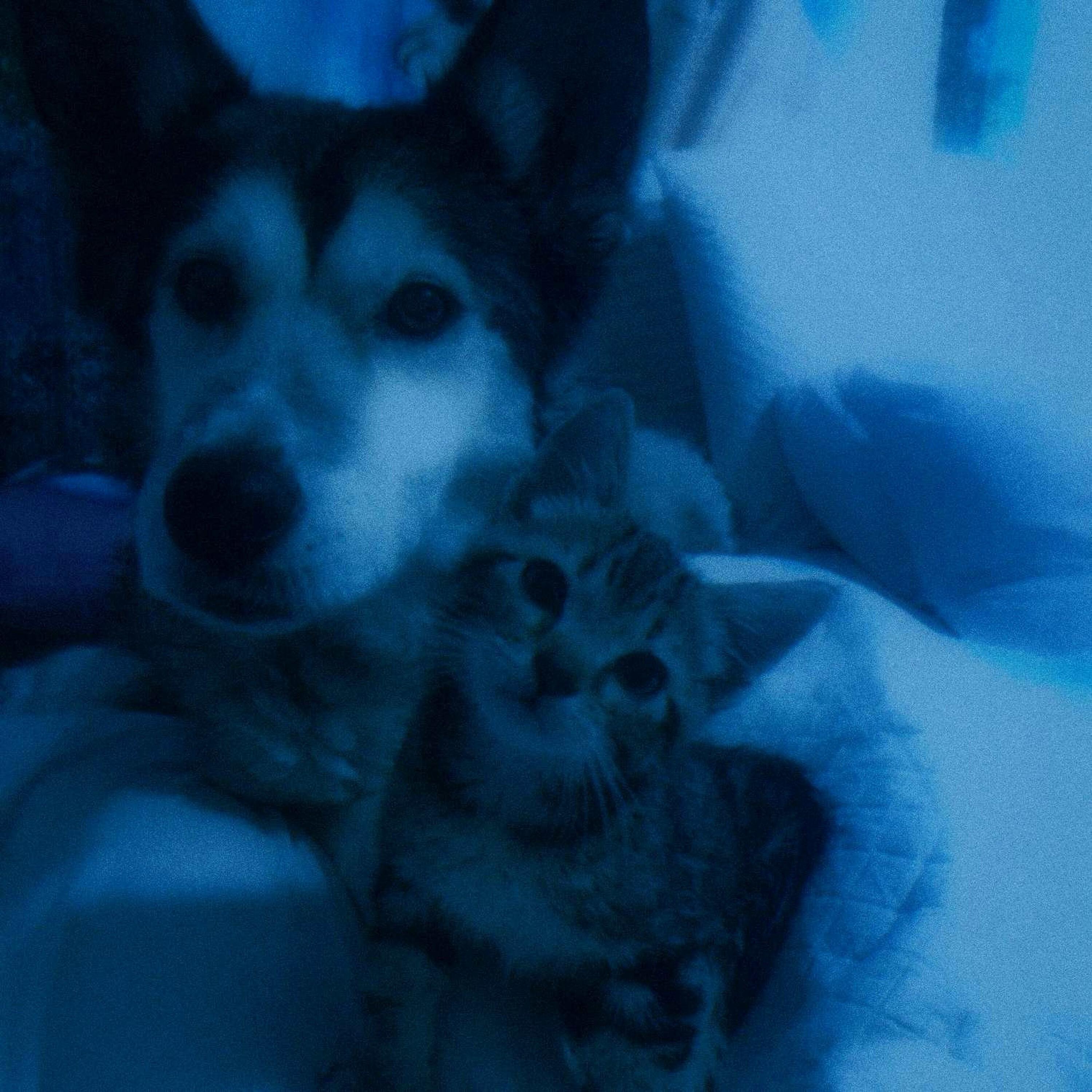 Релиз time to sleep