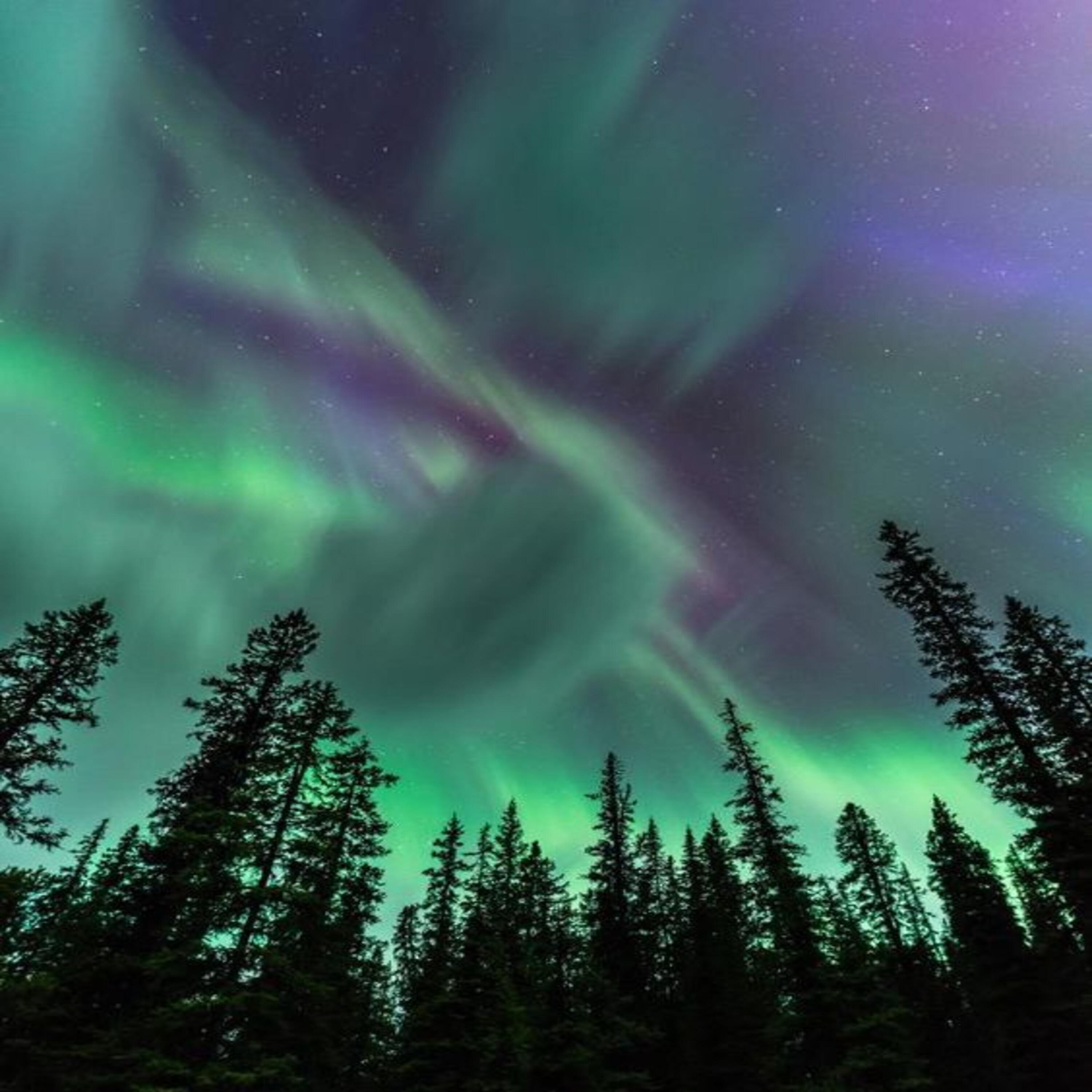 Релиз Aurora
