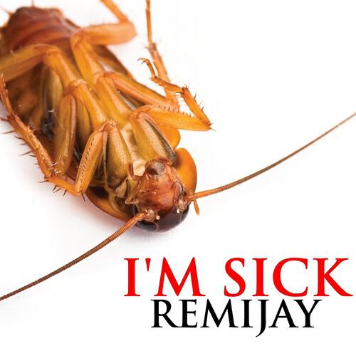 Релиз I'm Sick