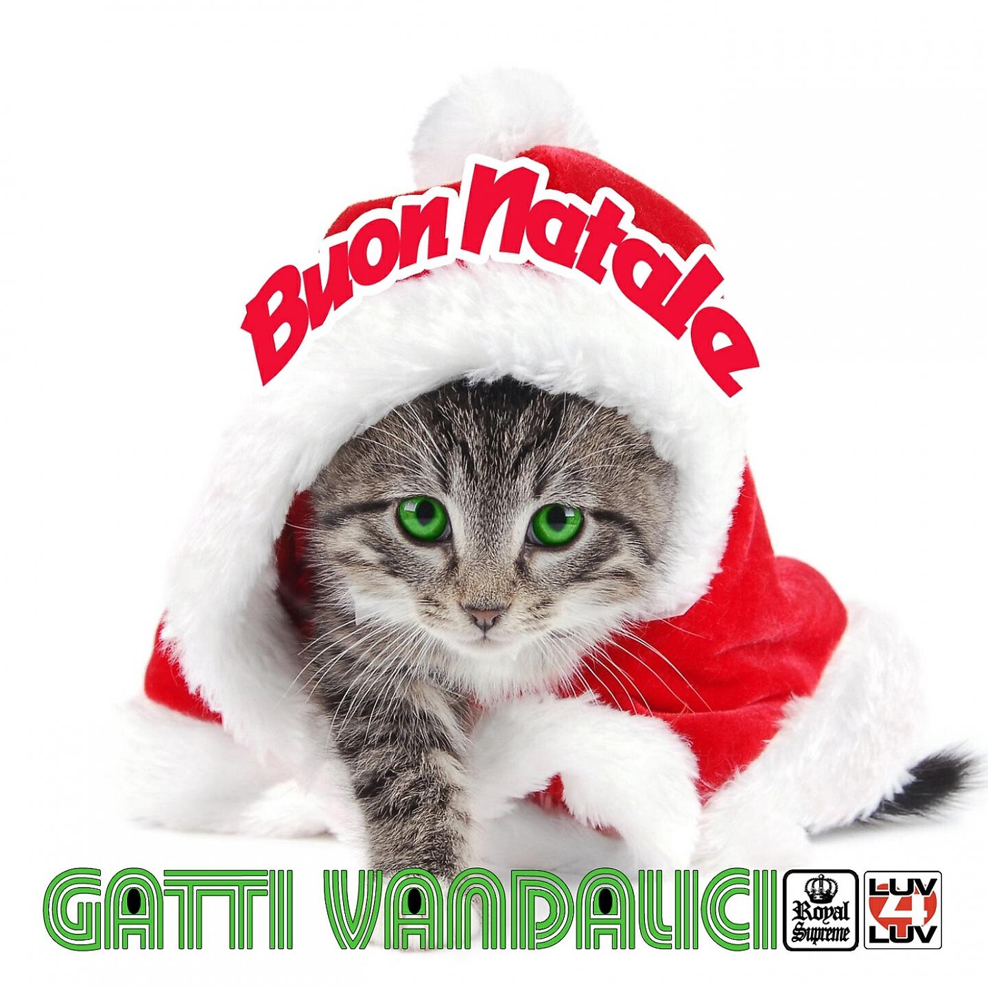 Gatti Vandalici