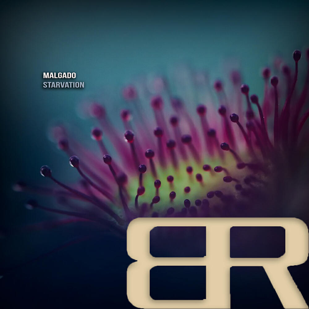 Релиз Starvation