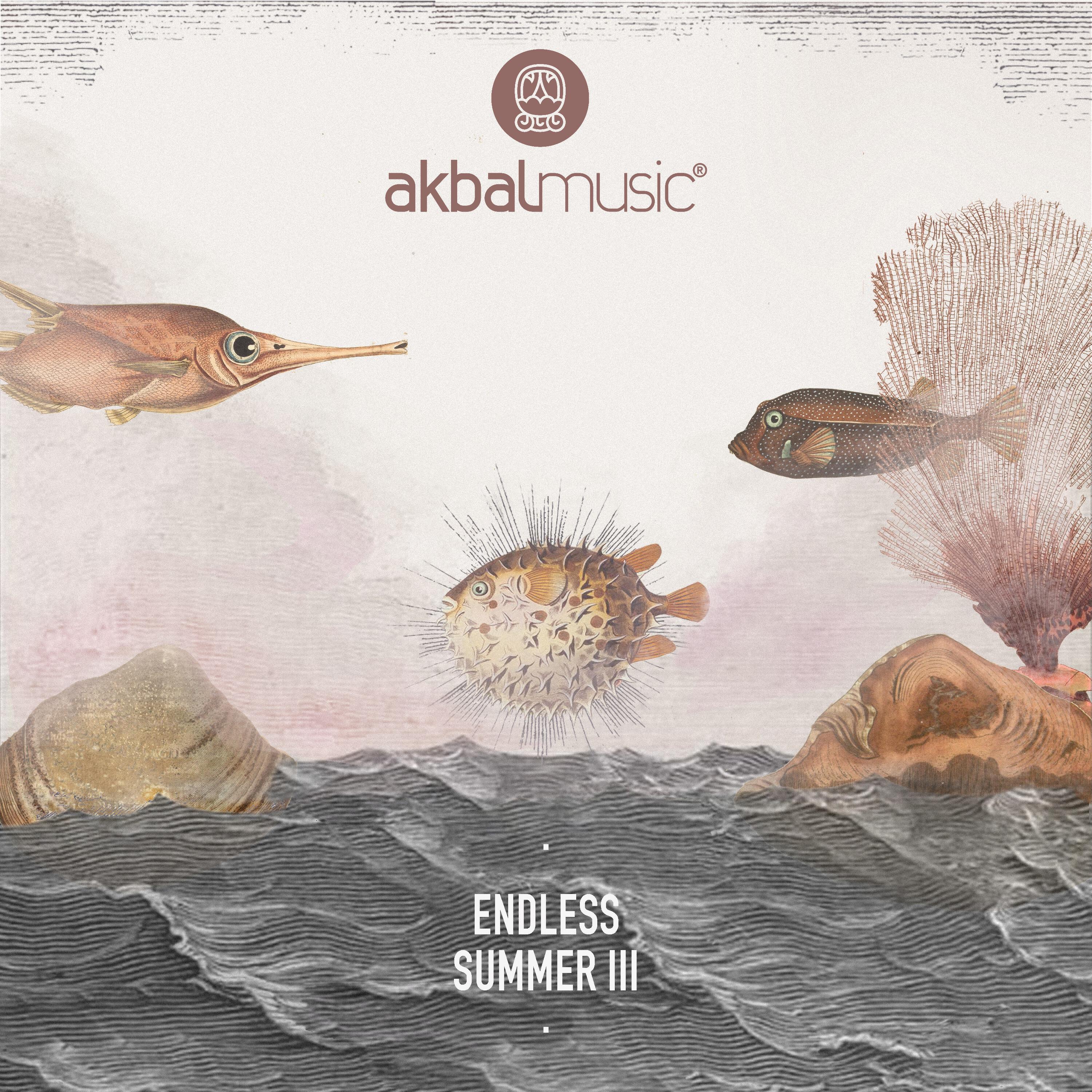 Релиз Endless Summer, Vol. 3